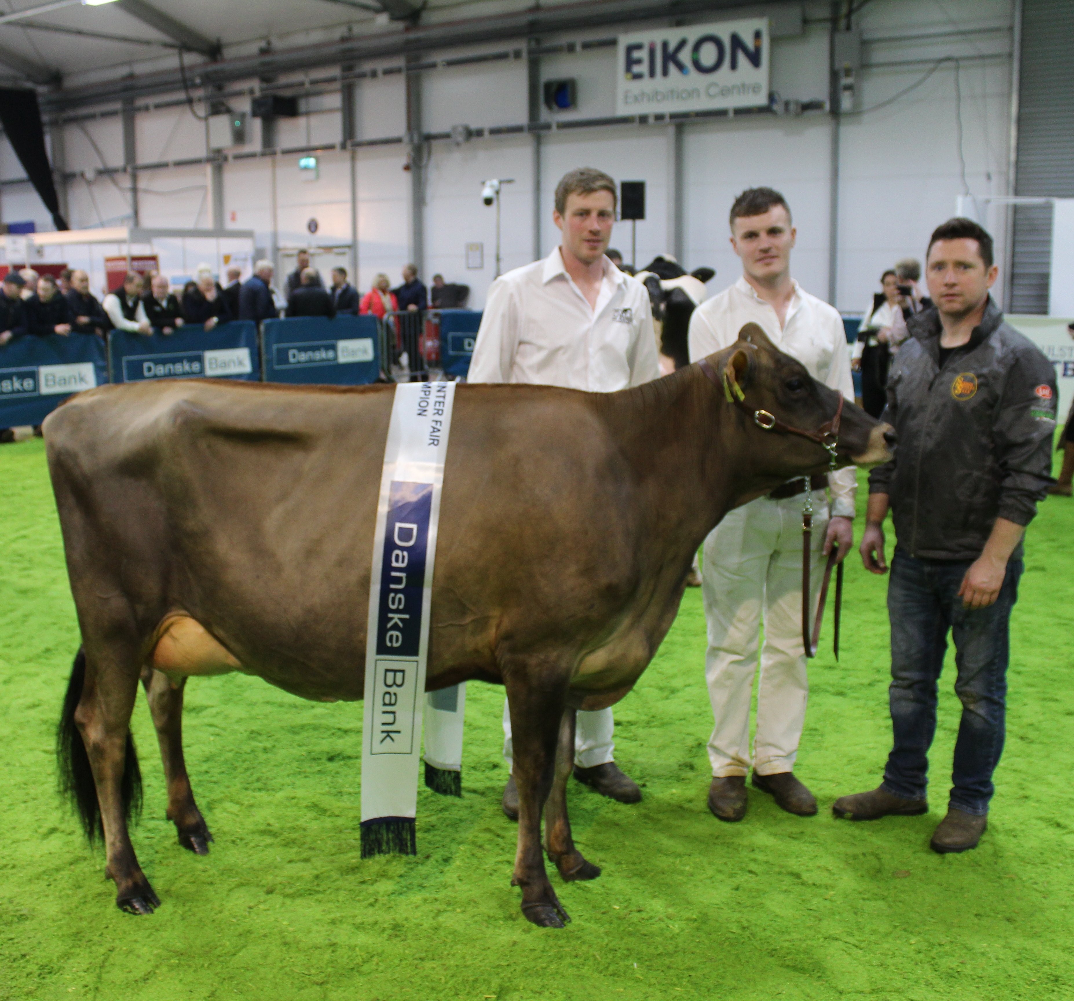 The Reserve Inter-Breed Champion at the 2023 Royal Ulster Winter Fair