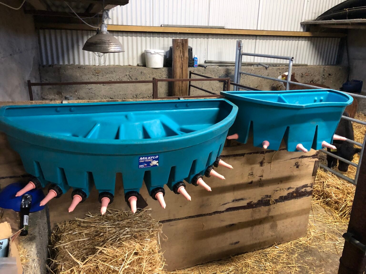 Feeders are thoroughly cleaned after each use