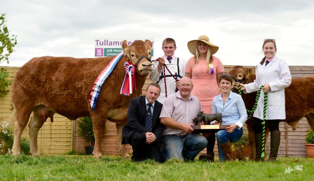 Source: Irish Limousin Cattle Society