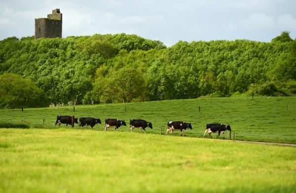 Moorepark Farm. Source: Teagasc