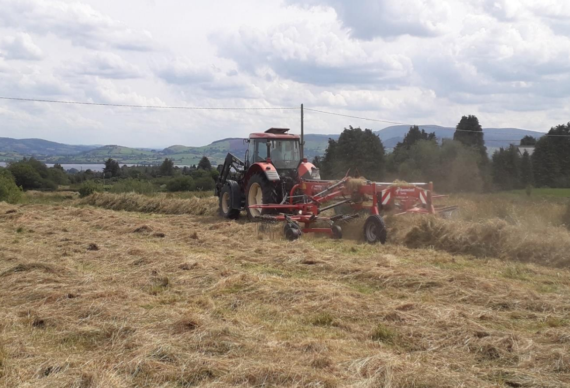 Harvesting rushes for the EIP project in Co. Clare. Source: Bernard Carey