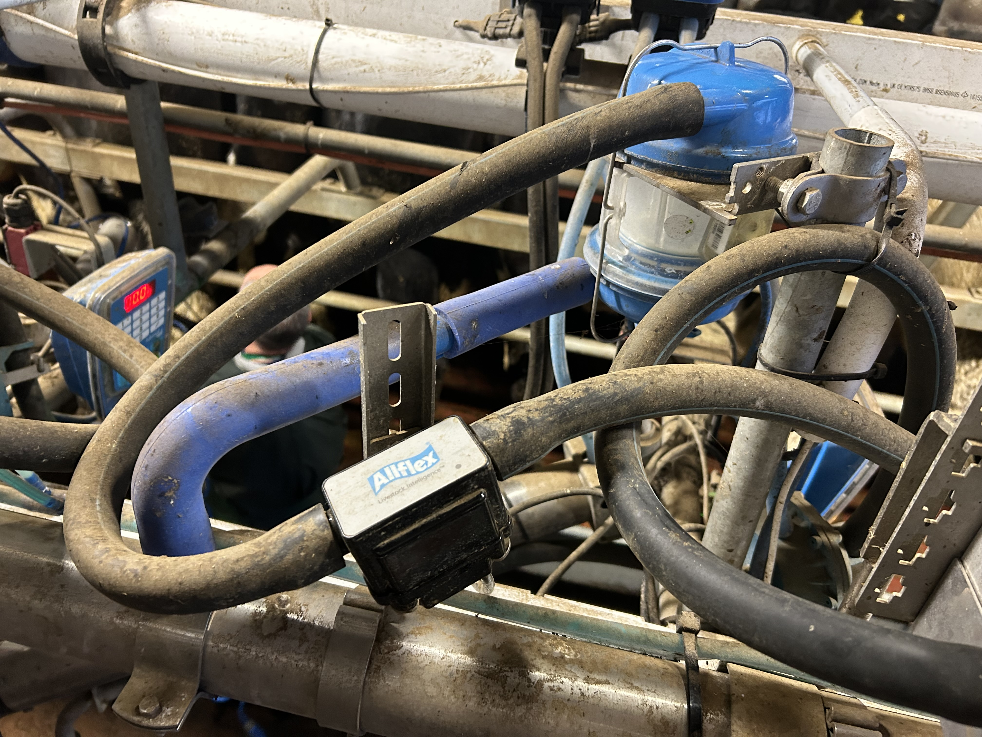 In-line milkplus sensor
