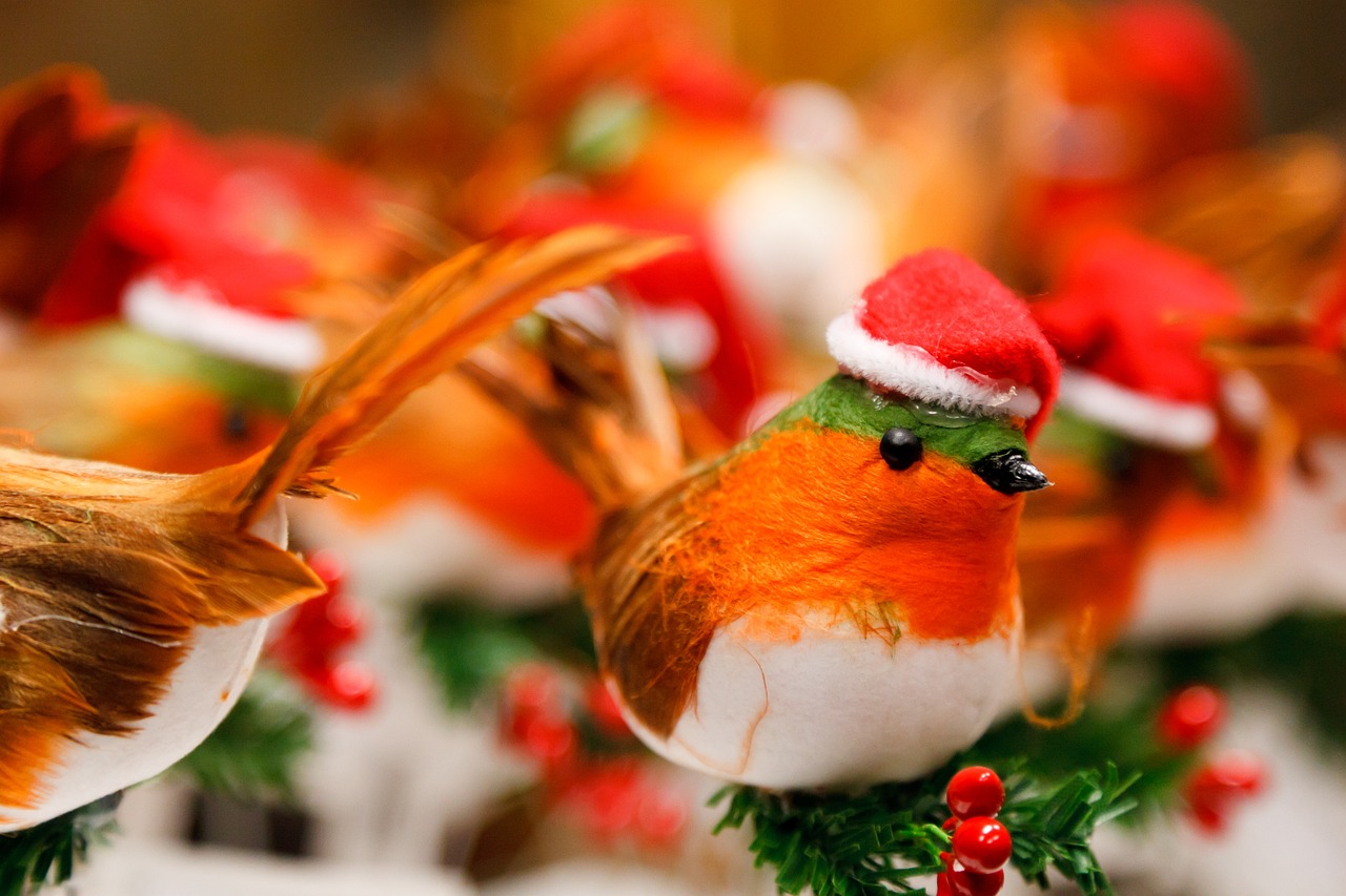 Robins are a very common sight around Christmas time