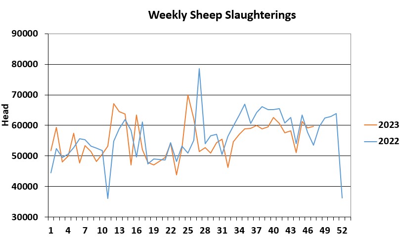 The graph shows how weekly sheep slaughterings this year compare to last year. Source: DAFM