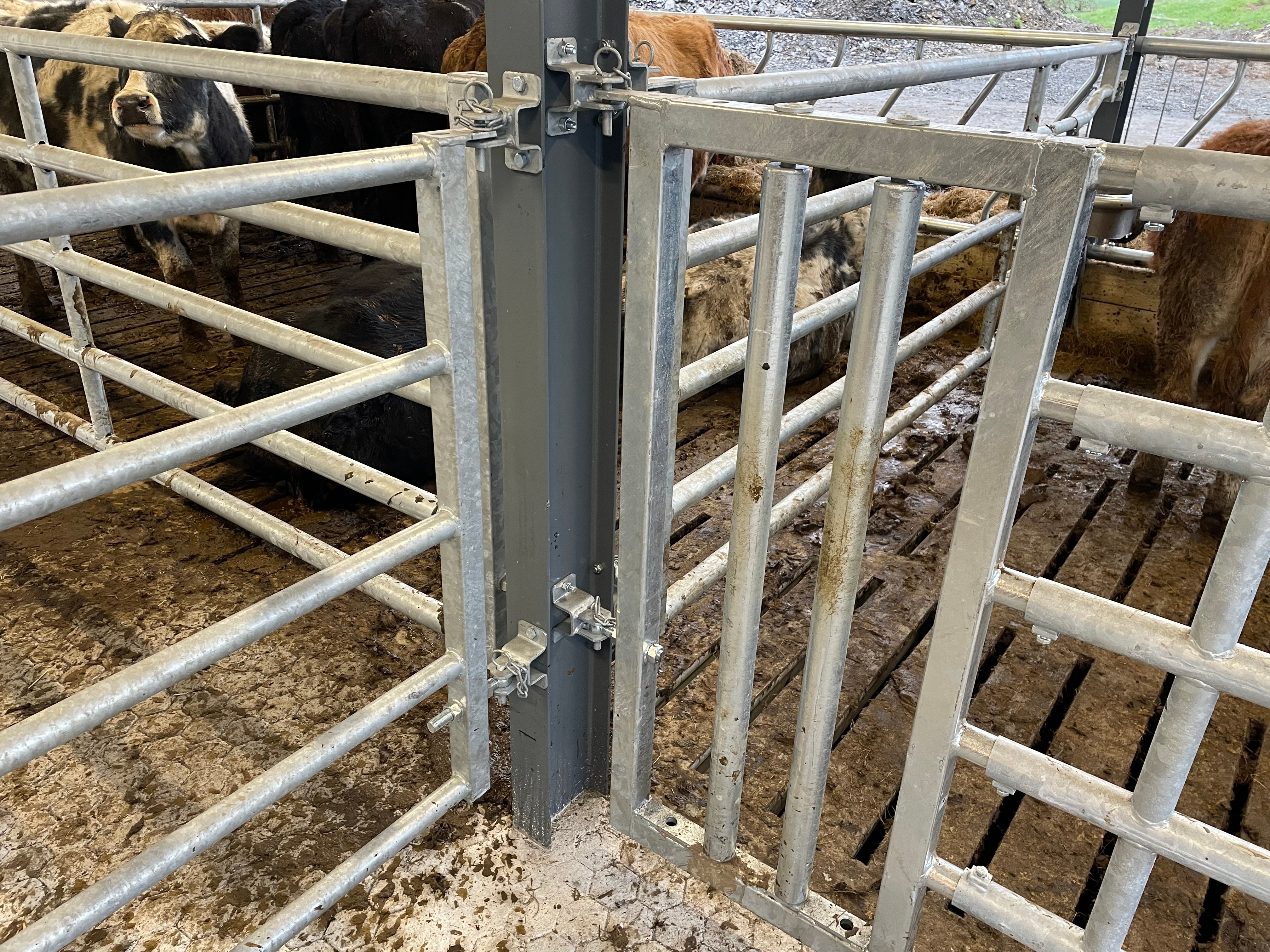 Creep gate to the rear of each slatted pen