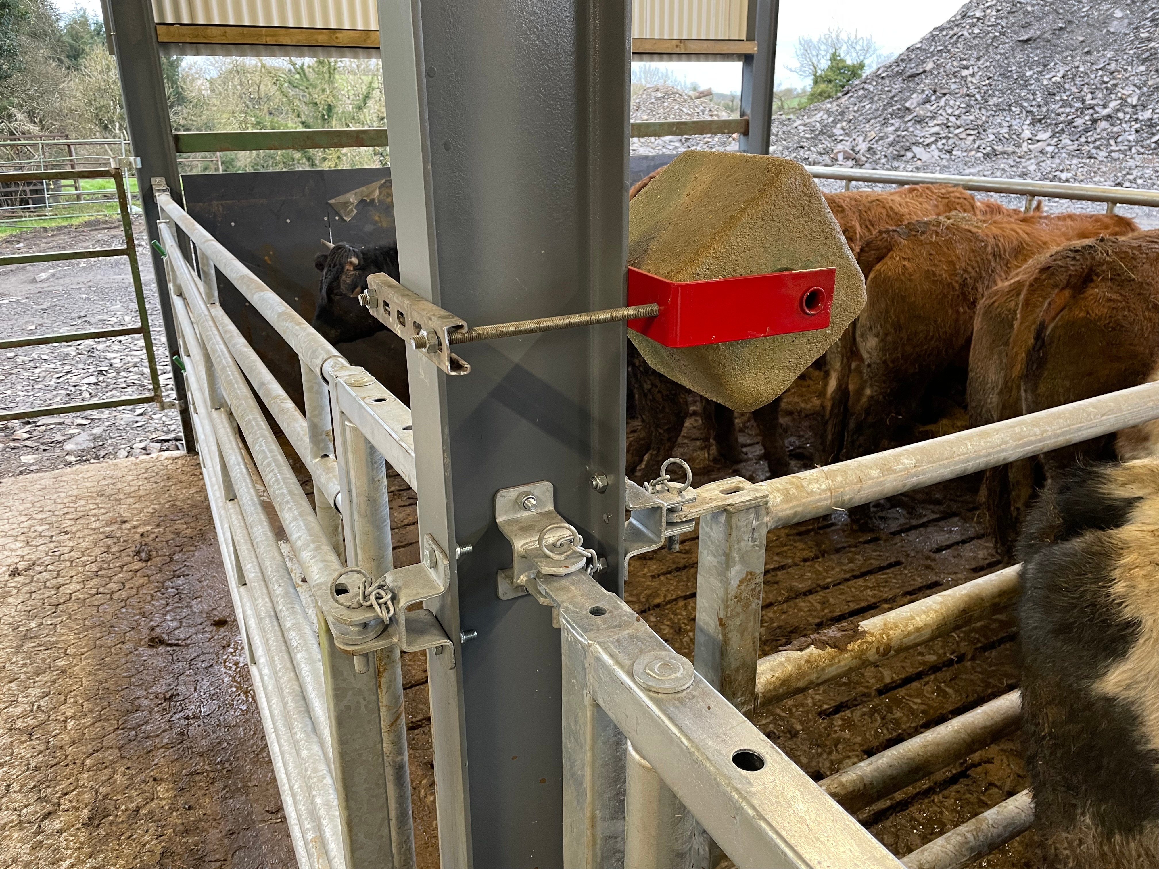 Mineral lick fitted to steel upright