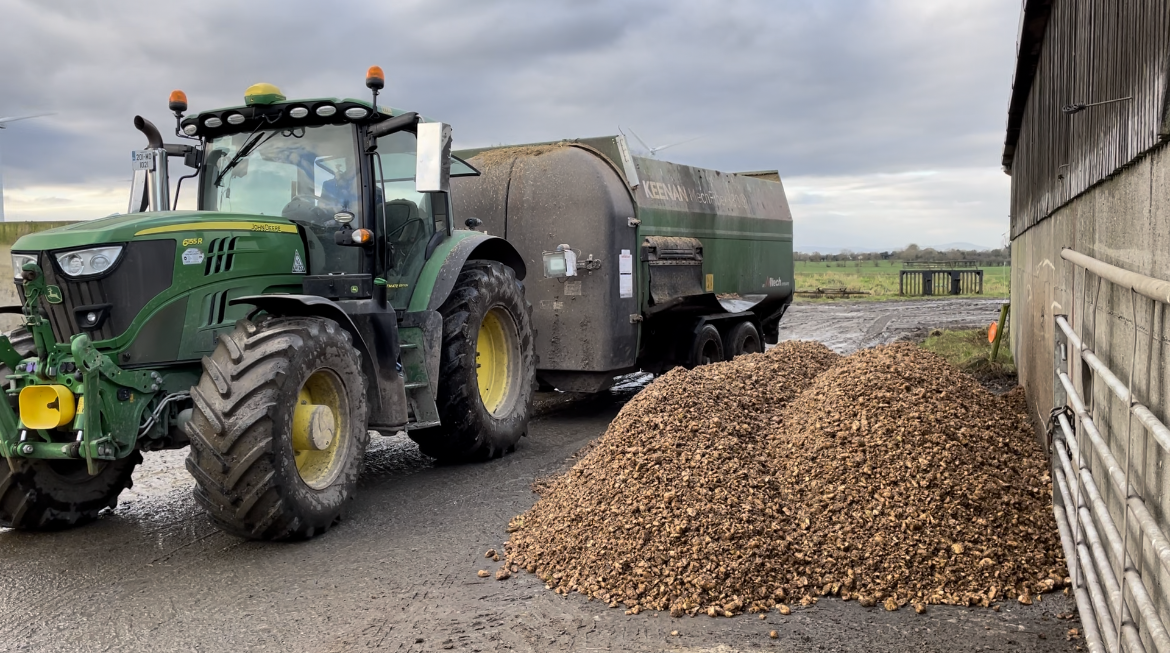 Home-grown beet is used in the TMR