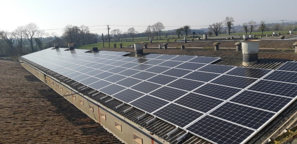 Joe Healy's pig farm, Co. Wexford