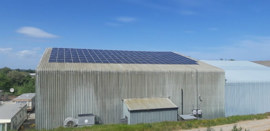 Solar PV installation at Darragh McCullough's flower farm, Co. Meath