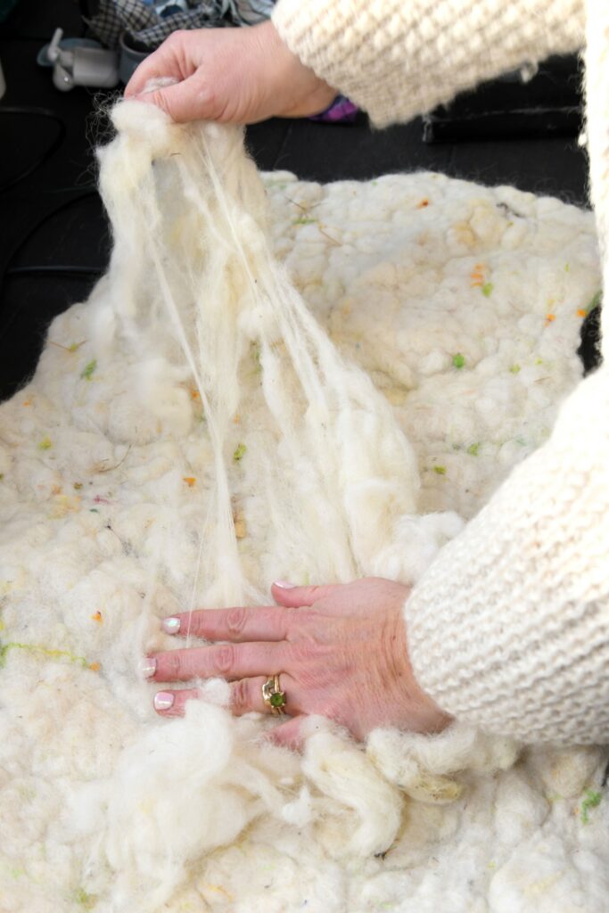 Source: Jacinta Fahy Photography