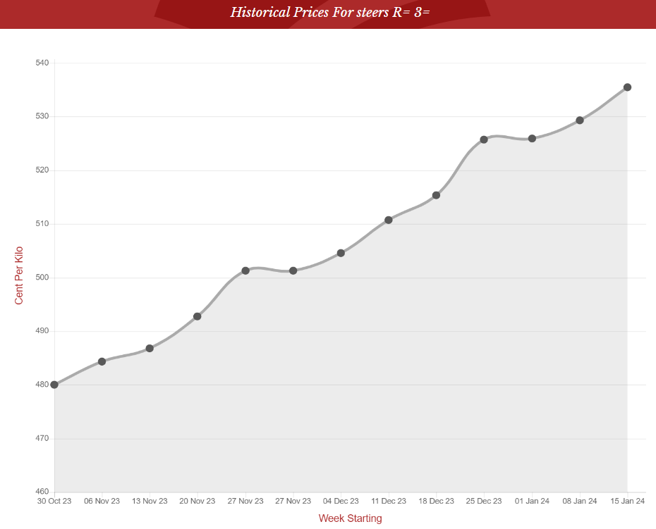 The graph below shows the rising price trend for R=3= grade steers in recent weeks