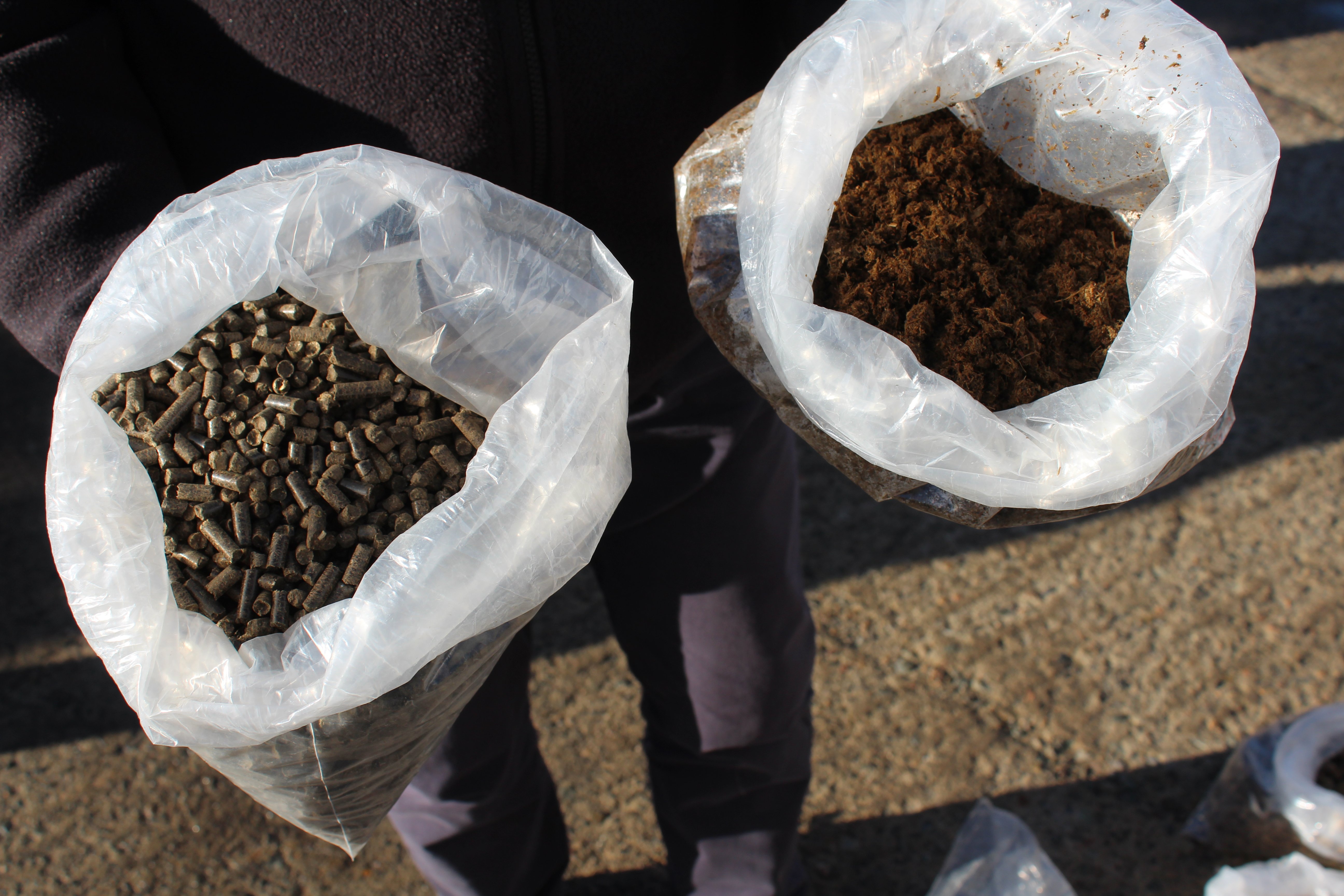 Slurry solids can be pelletised for use as a fuel source in the likes of power stations