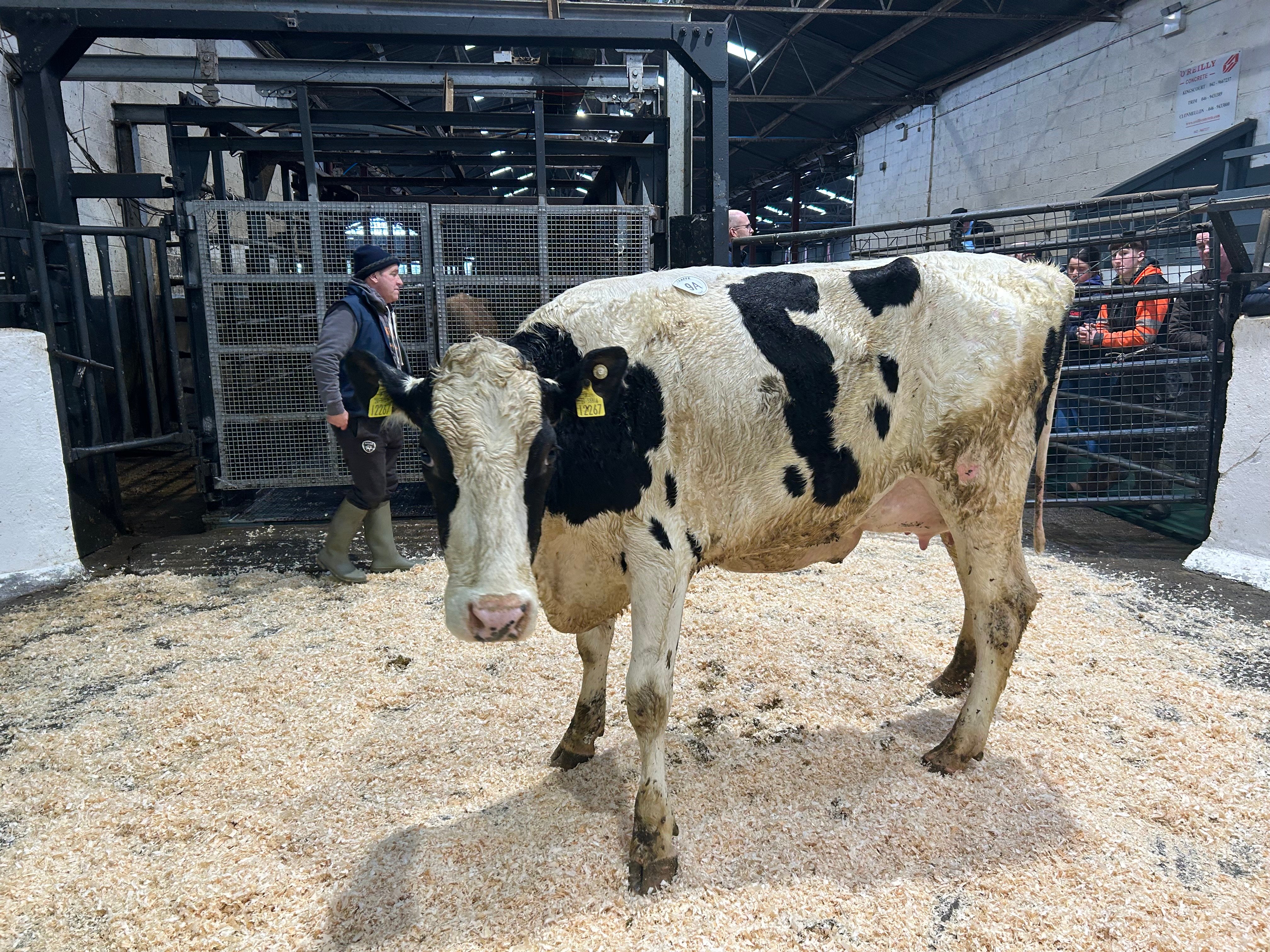 Lot 9a sold for 2,620gns