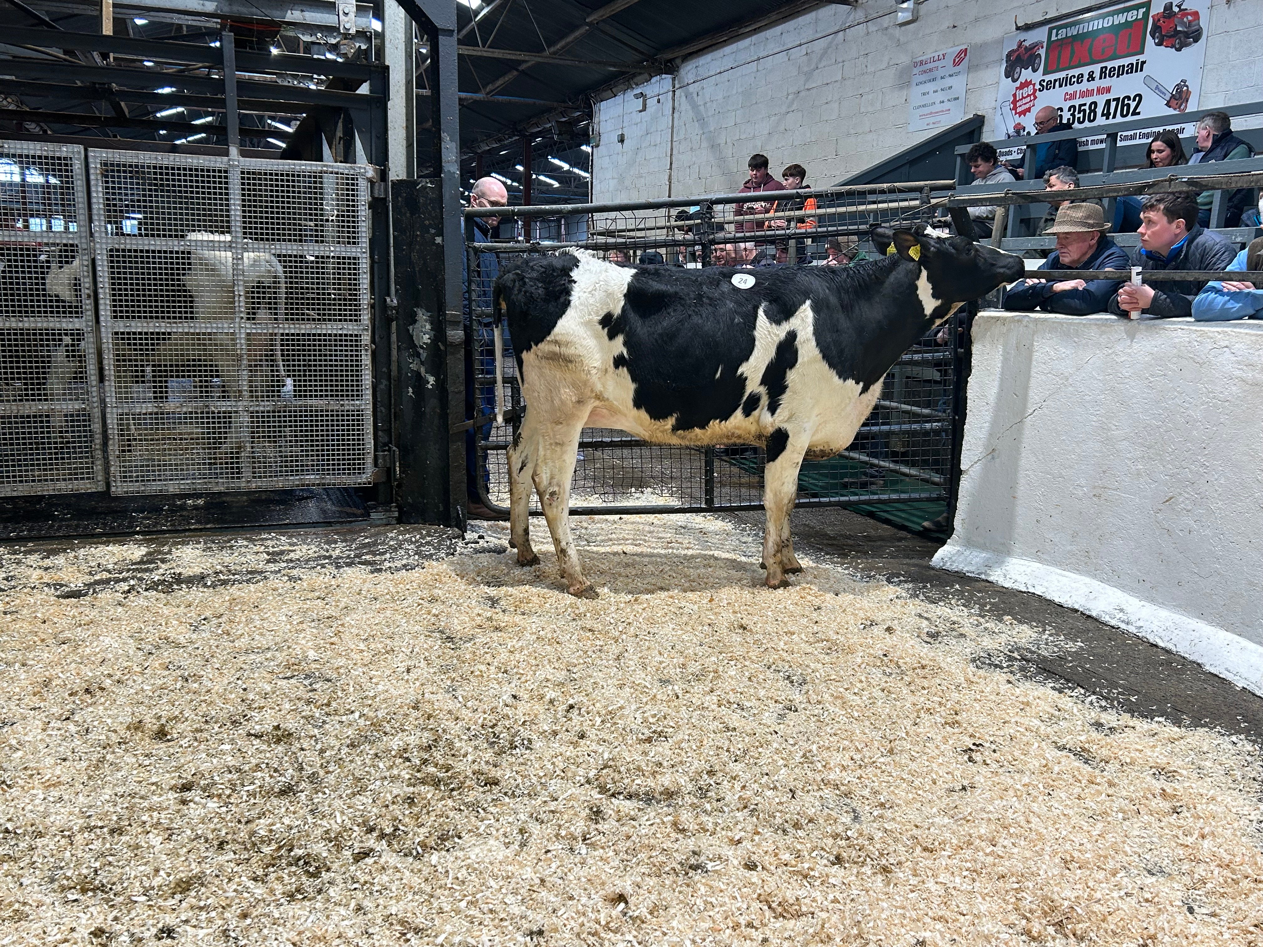 Lot 24: Cullies Logistics Lustree a potential 14 general VG/EX sold for 3,400gns