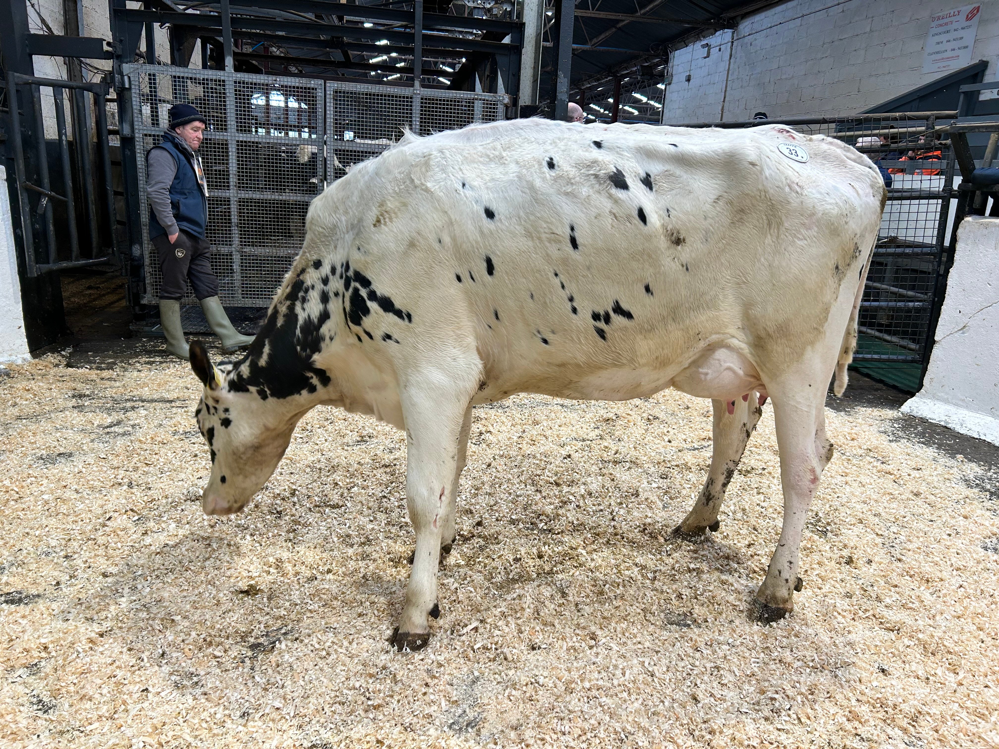 Lot 33: Ballivor Hotspot Ruby, sold for 2,750gns
