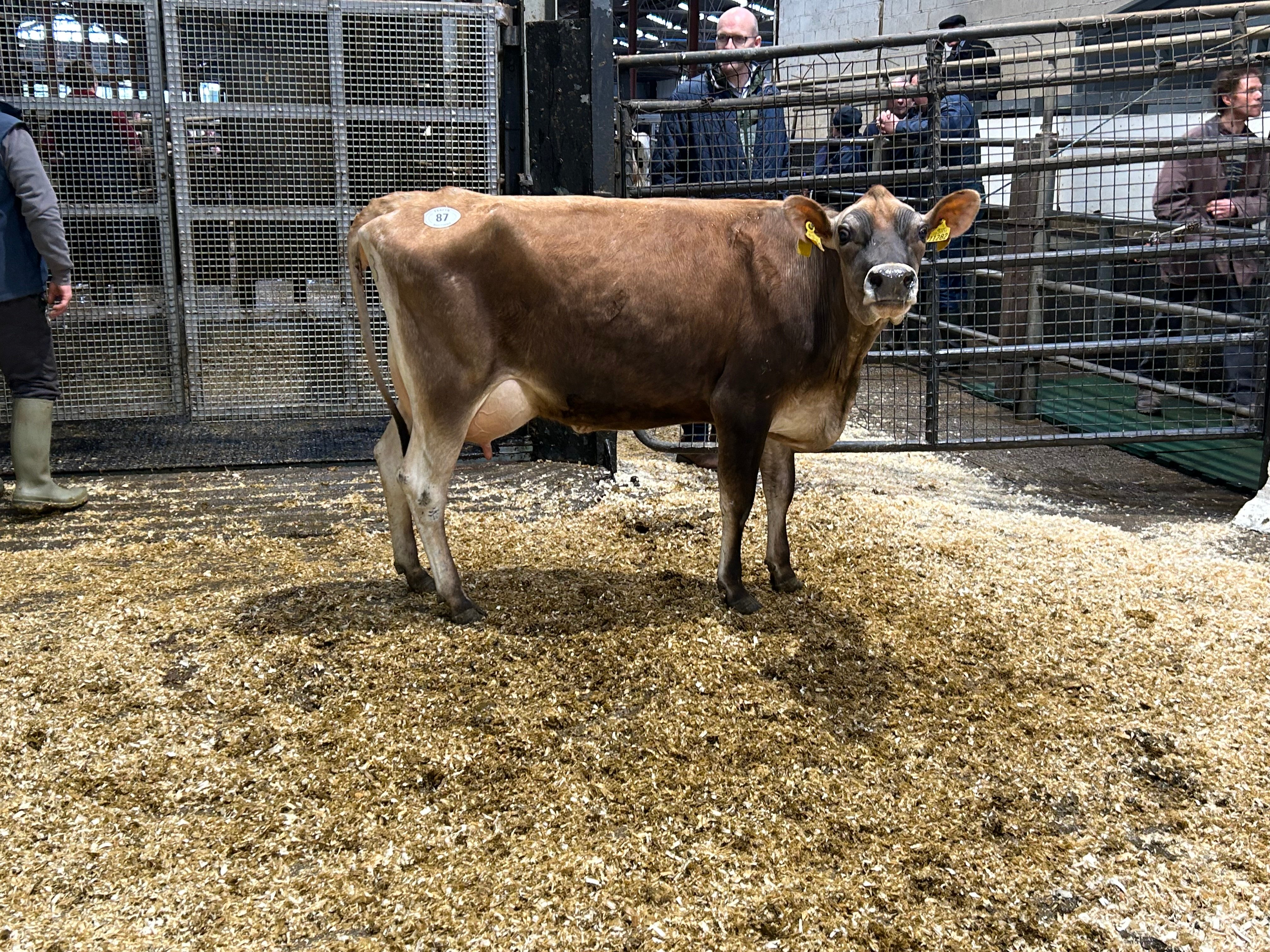 Lot 87: Slevoy Matt Biscuit sold for 1,560gns,