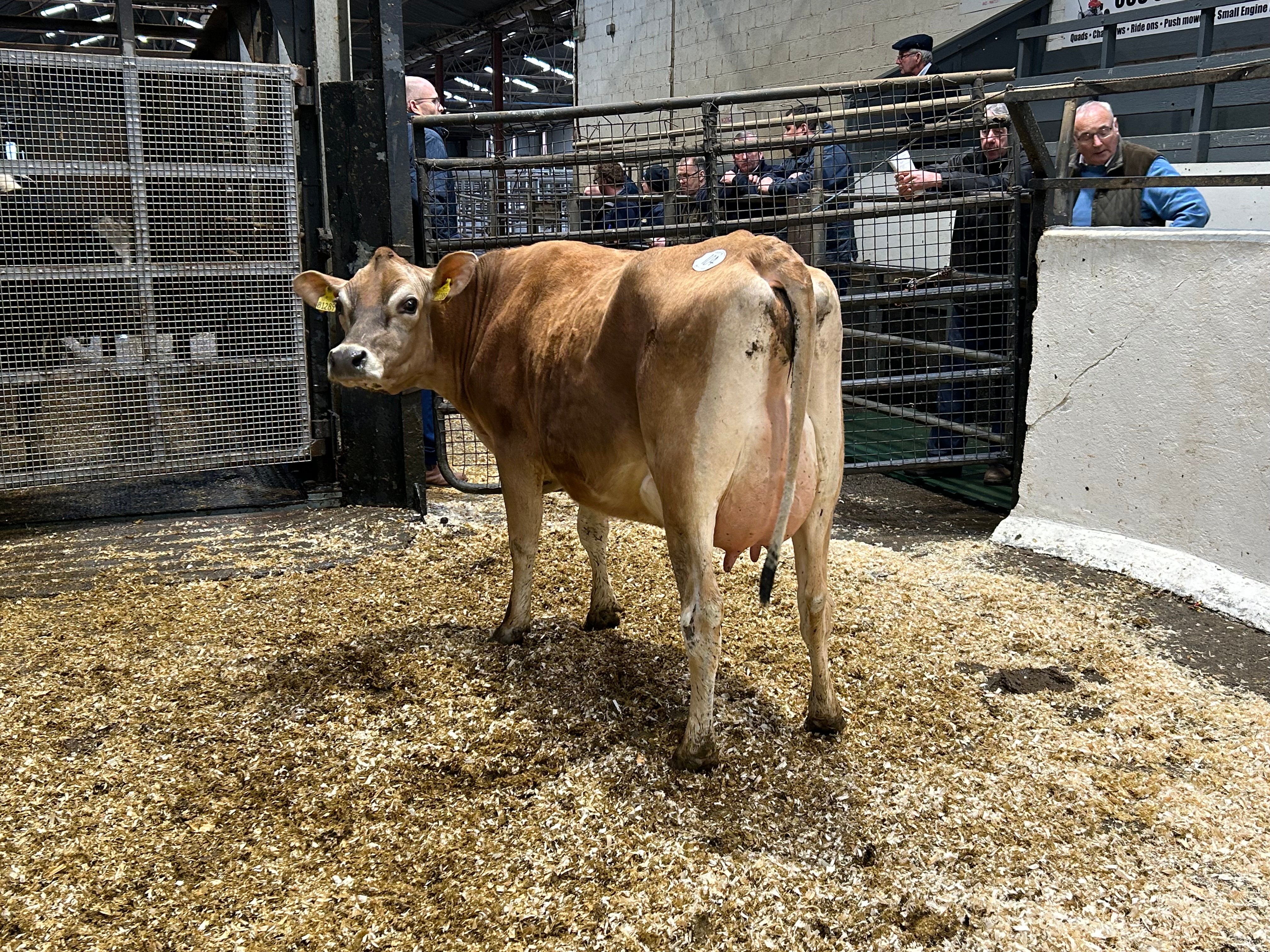 Lot 104: Slevoy Matt Jane sold for 1,700gns