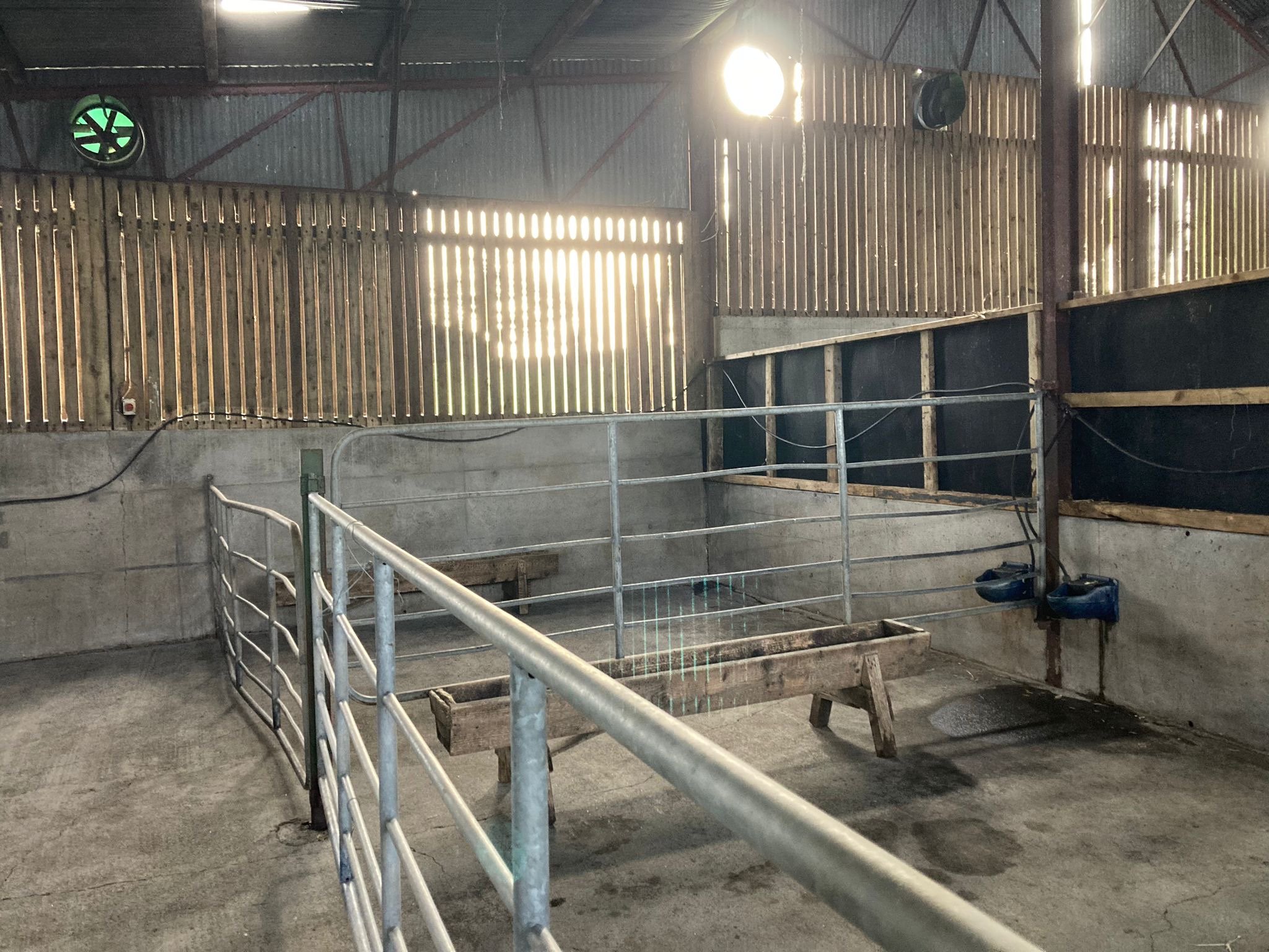 Preparations are currently being made on the ABP Demo Farm for the arrival of the 2024-born calves