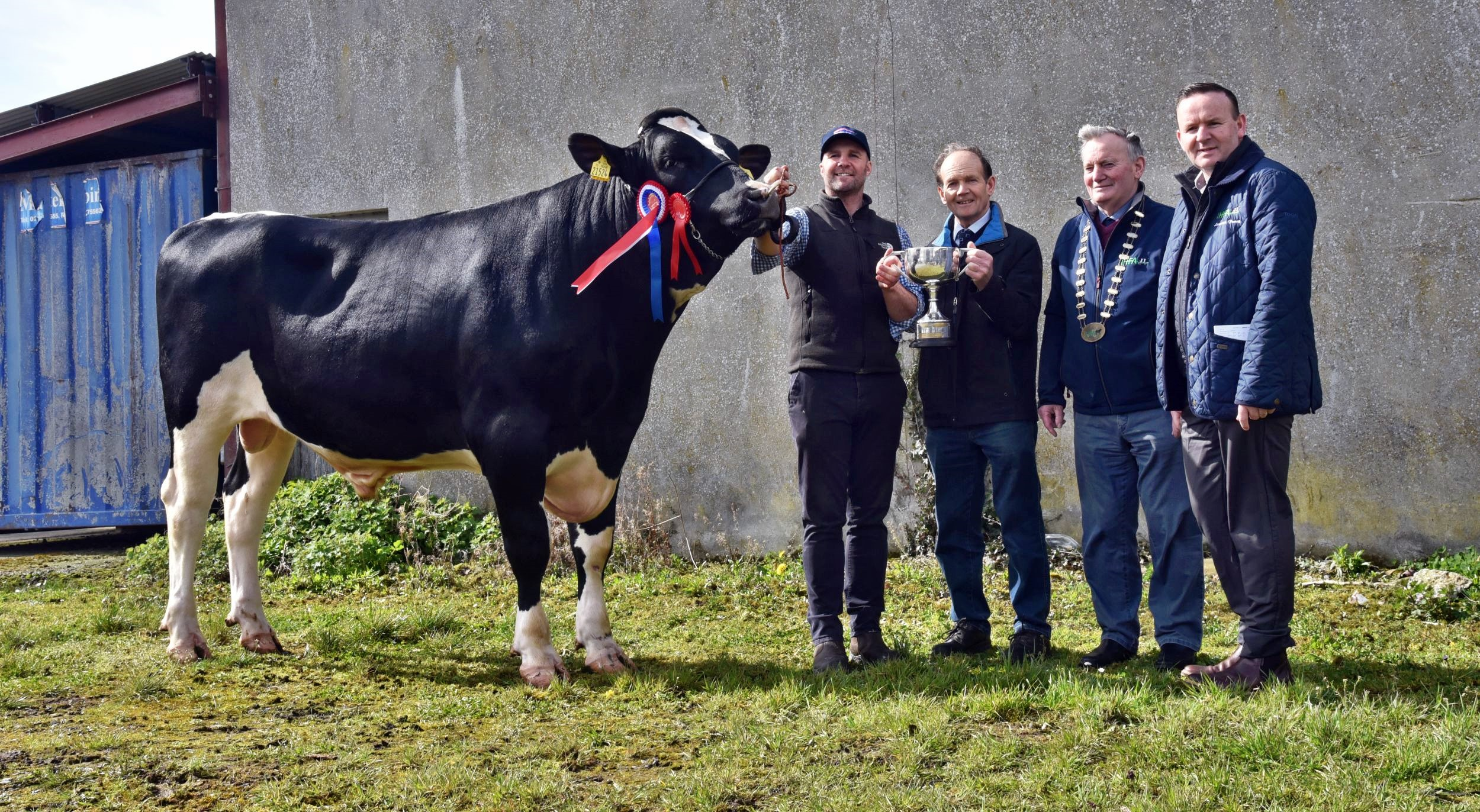 2023 Bull Show Champion – Montfarna Premiere with John O’Callaghan, Farnivane, Bandon (exhibitor), being presented with the trophy by John O’Sullivan, judge, and Richard Whelan, IHFA former president and Laurence Feeney, CE IHFA Image soruce: Martin Ryan