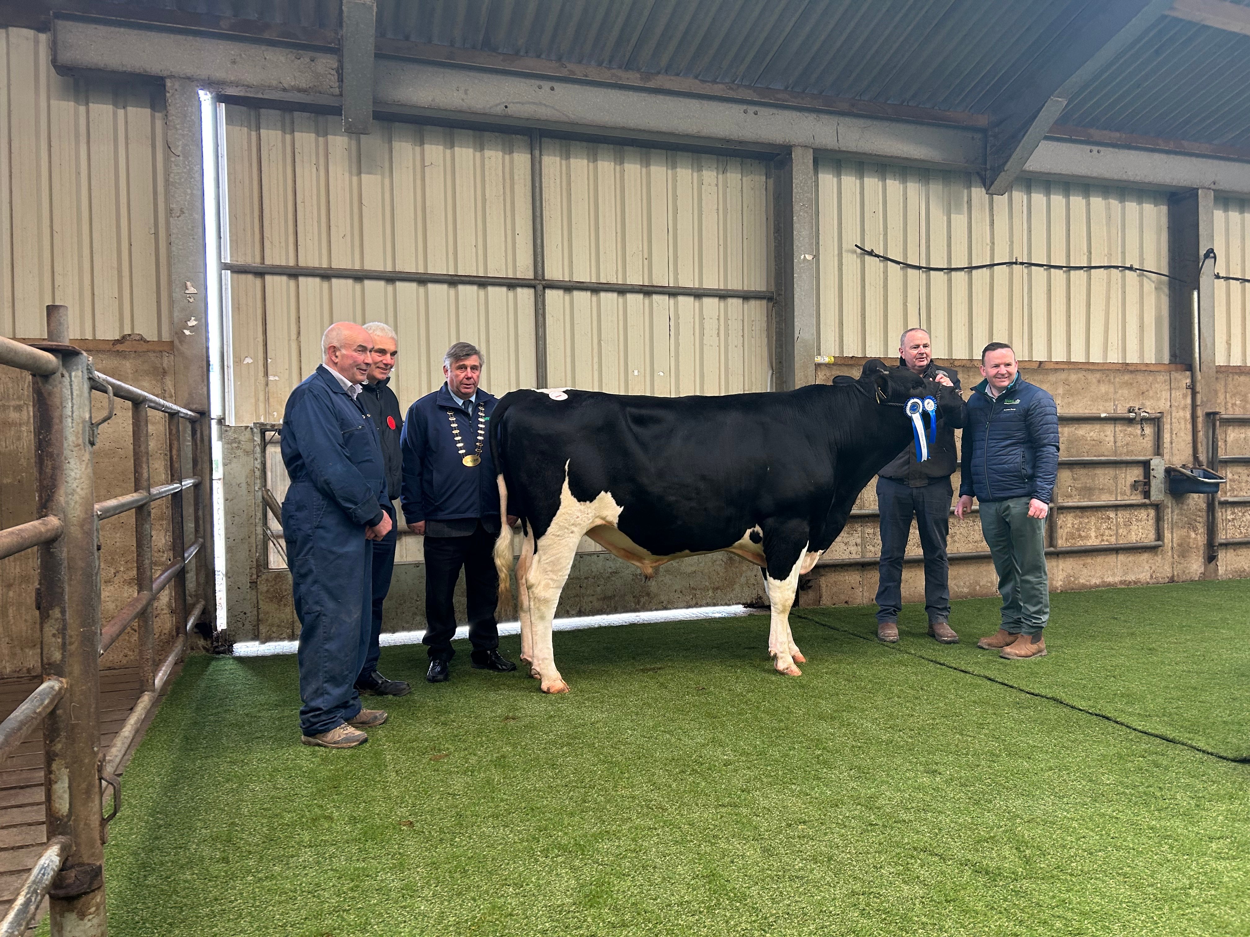 Reserve Champion went to&nbsp;Monamore Exhibit - sold for €3,300