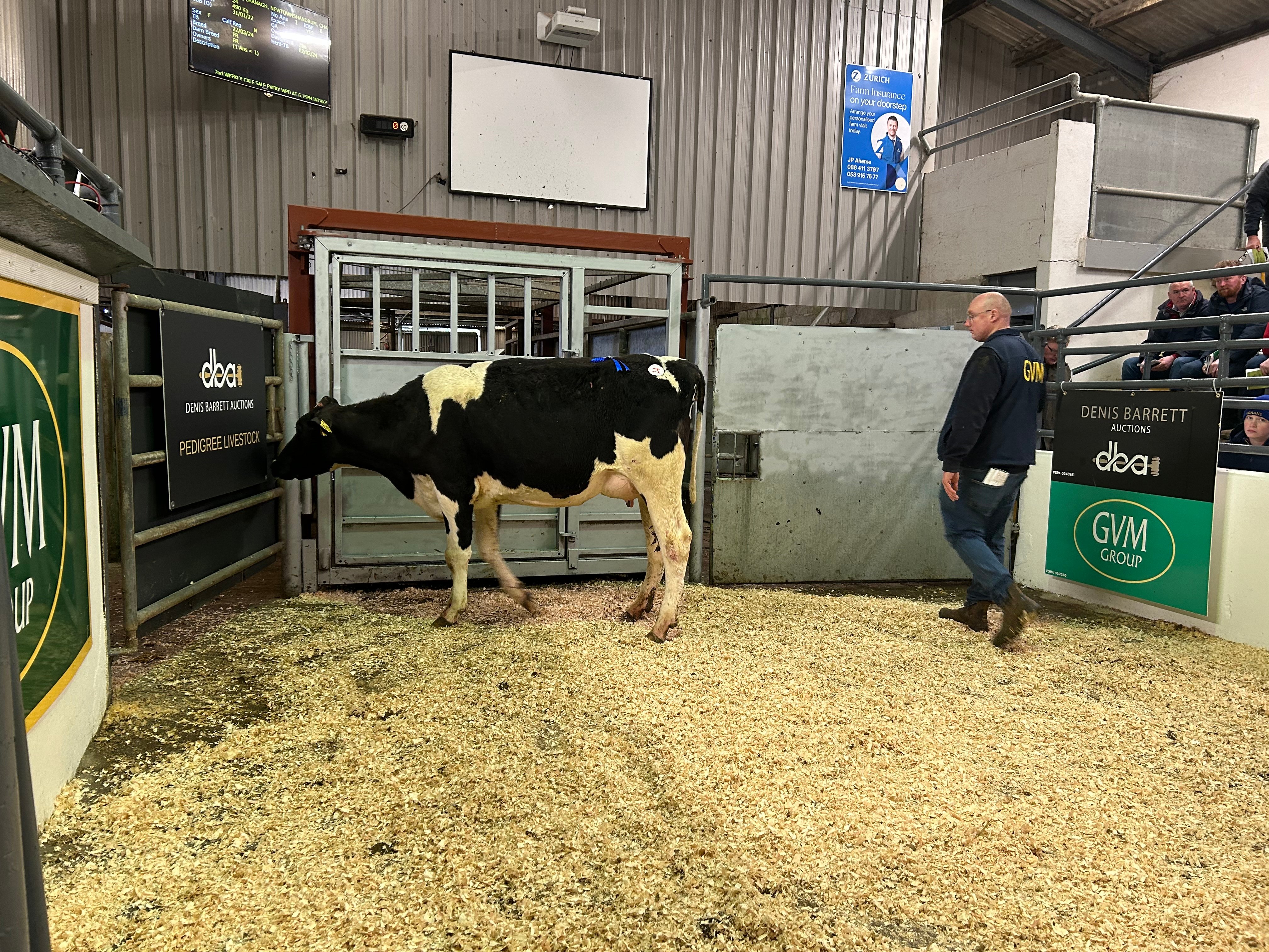 Lot 24:&nbsp;Barna Pepper Archie, sold for €2,600