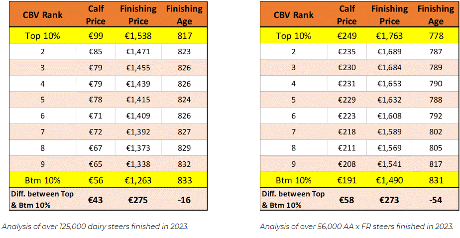 The two tables above highlight the importance of having the Commercial Beef Value to hand when purchasing animals. The data in both tables is based on animals that were finished in 2023, broken down by their CBV