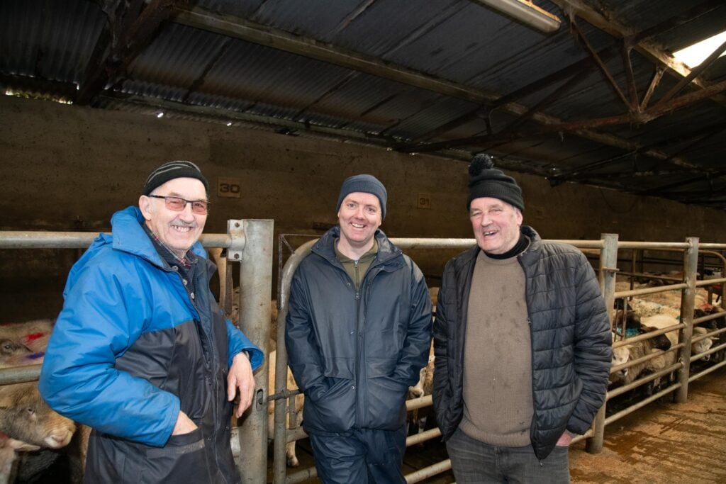 Tommy Mulligan, Eamon Ferry and Liam Donaghy at the Raphoe Mart Easter lamb show and sale Source: Clive Wasson