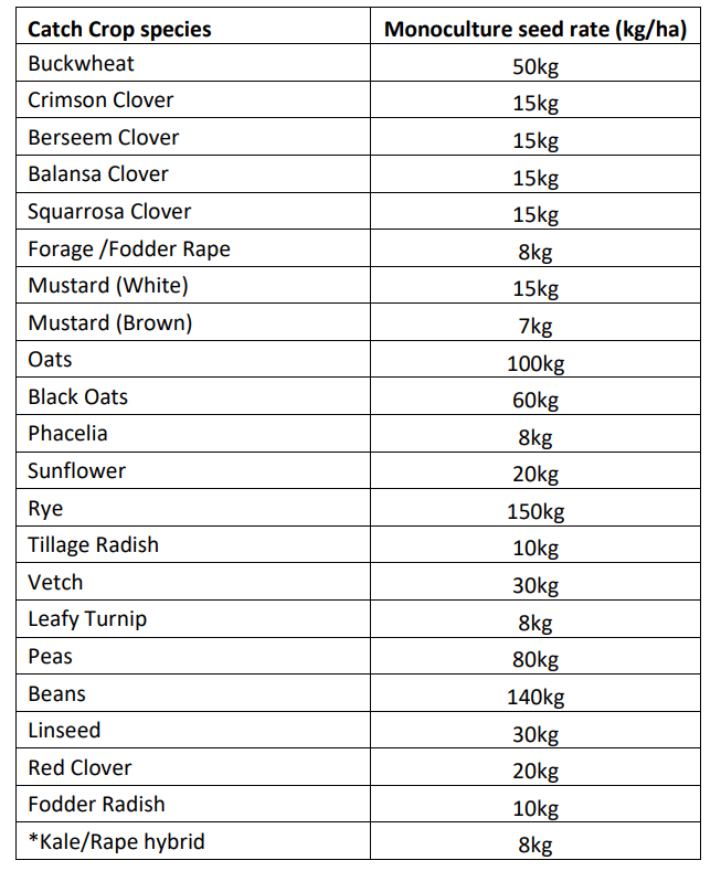 Full list of prescribed catch crop species. Source: DAFM