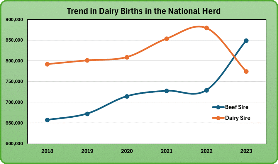 Trends in dairy births in the national herd 2018-2023 Source: ICBF