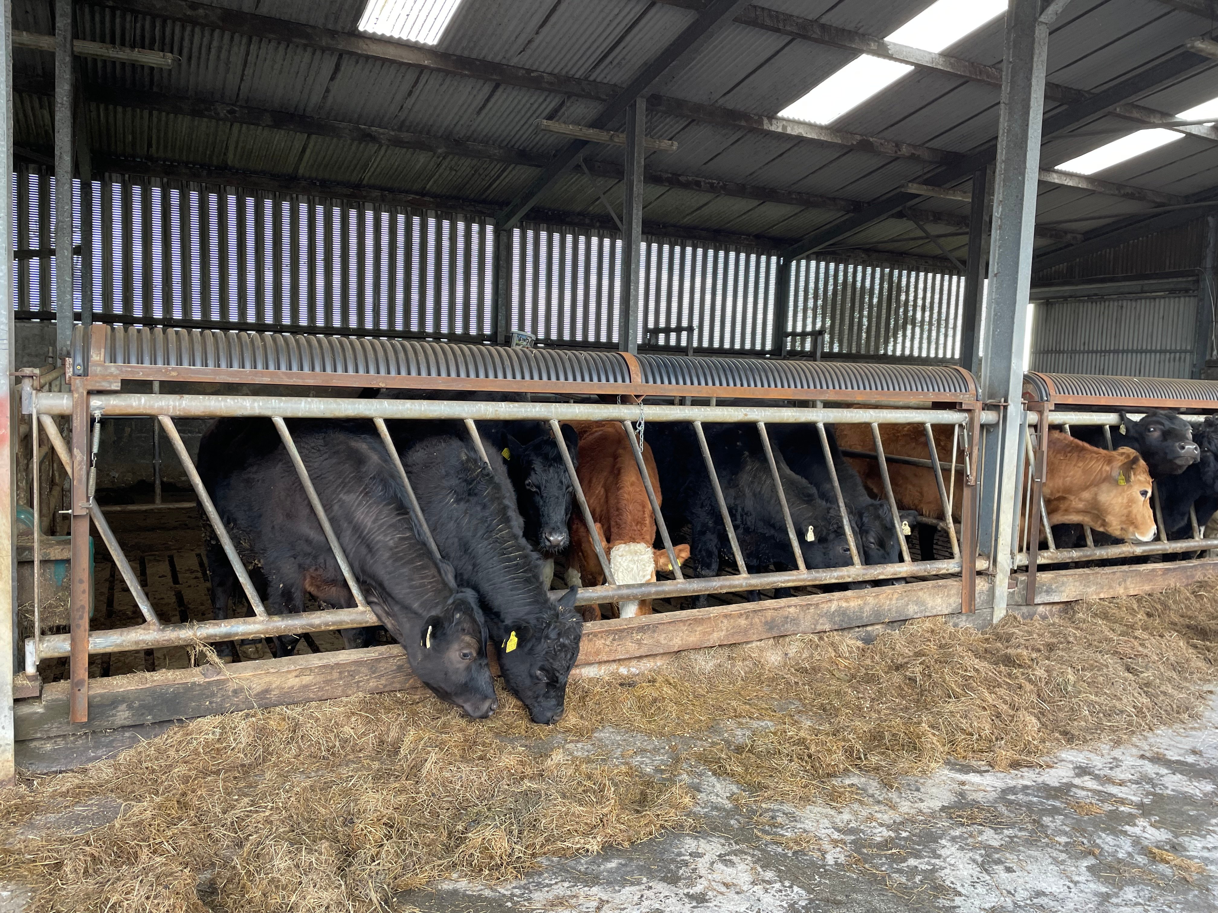 The feed trough in the storage position