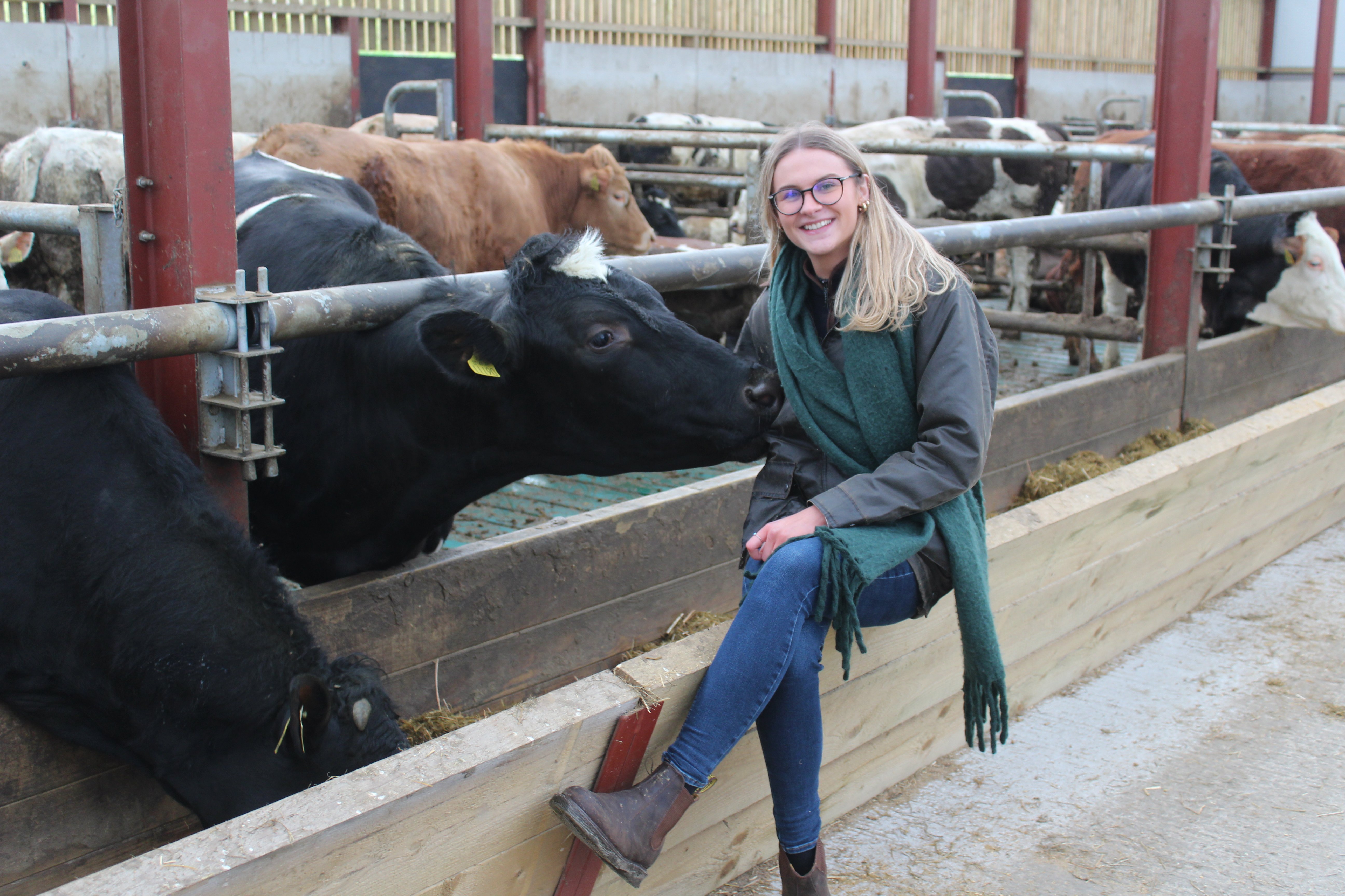 Beth Weir having a quick 'Friday afternoon' chat in the main beef shed on her family farm in Donegal