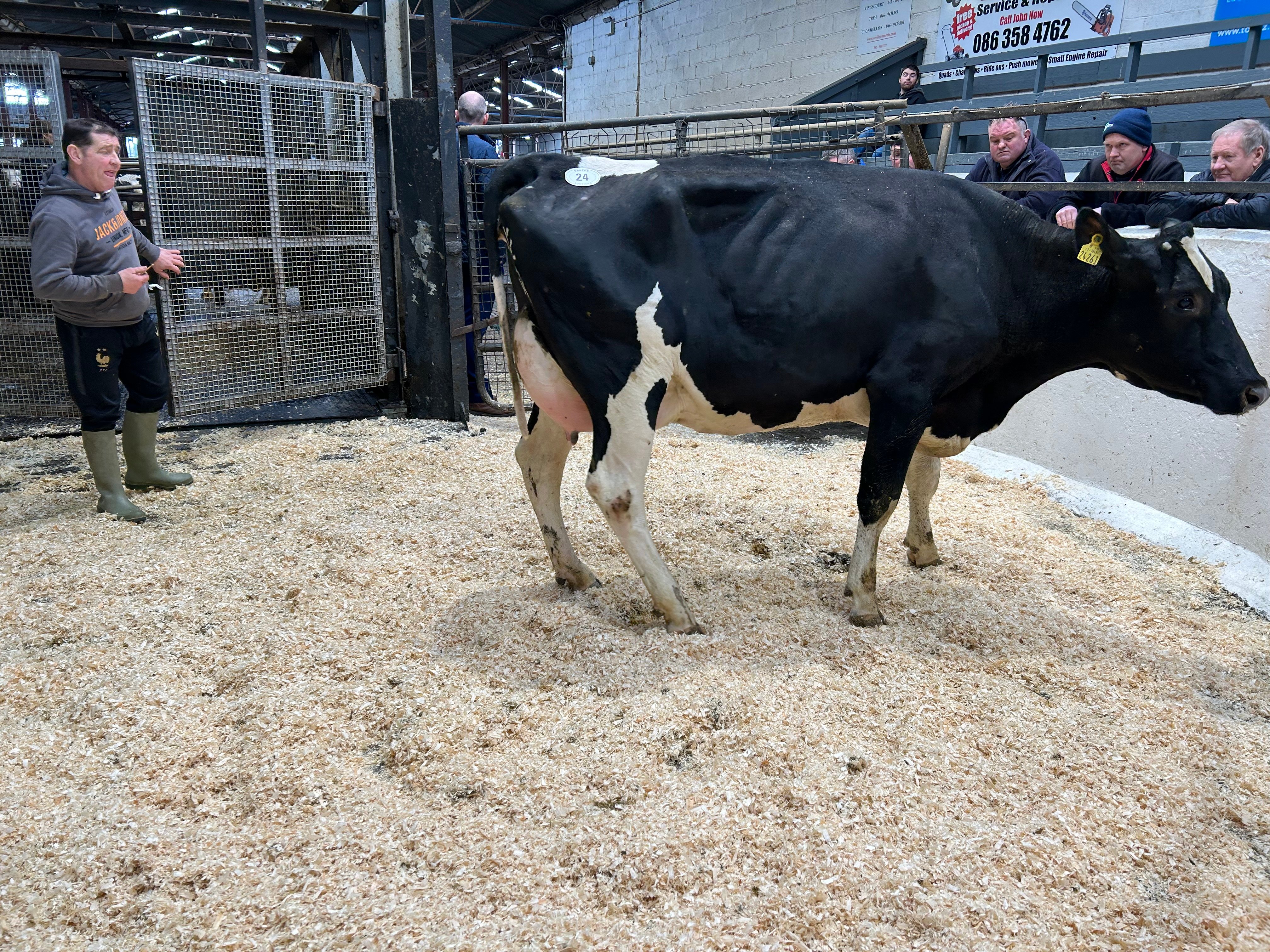 Lot 24: Clonwood Position Cunnie, sold for 2,500gns