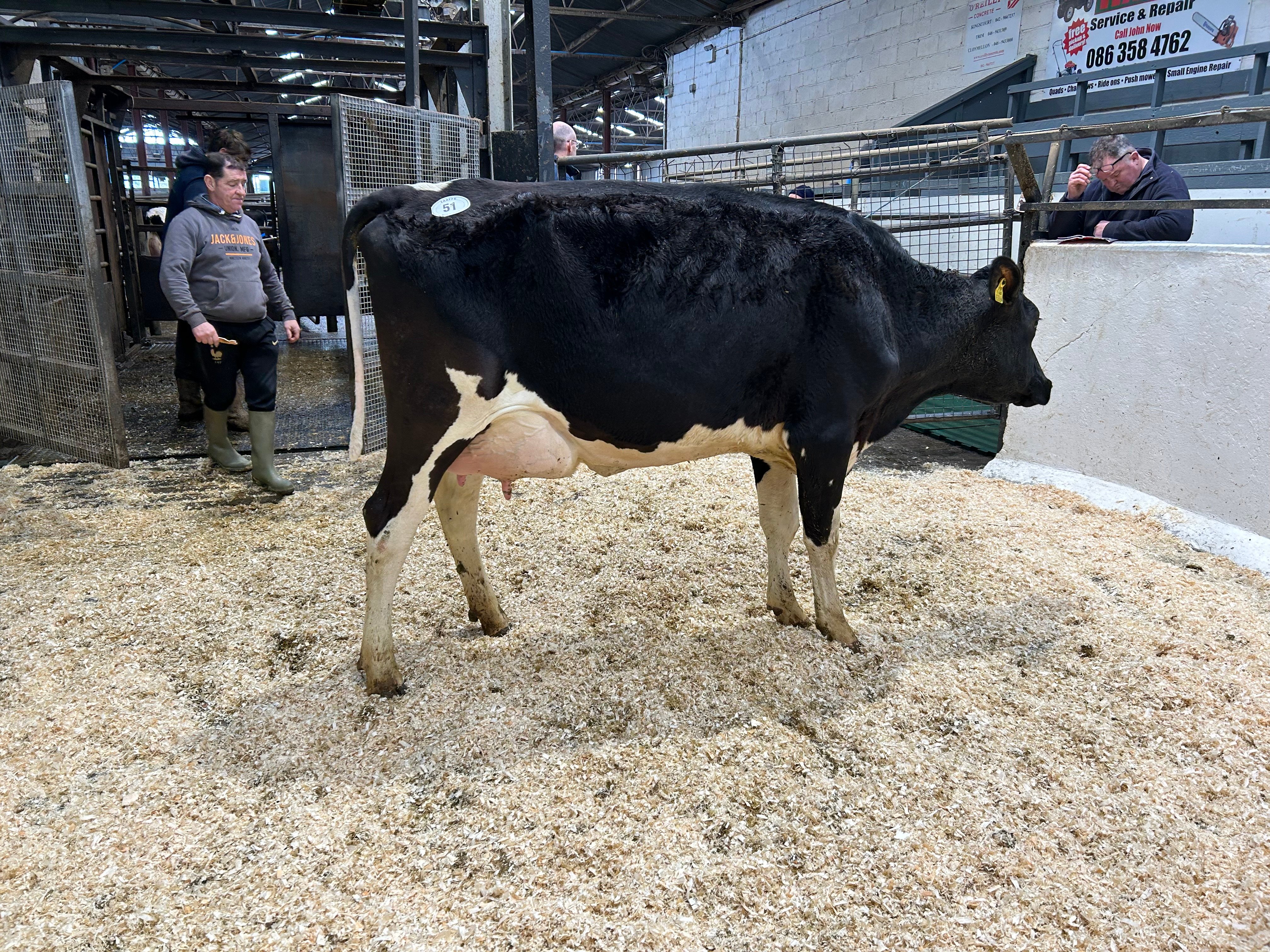 Lot 51: Ballivor Rager-Red-Et Rime 2, sold for 2,750gns