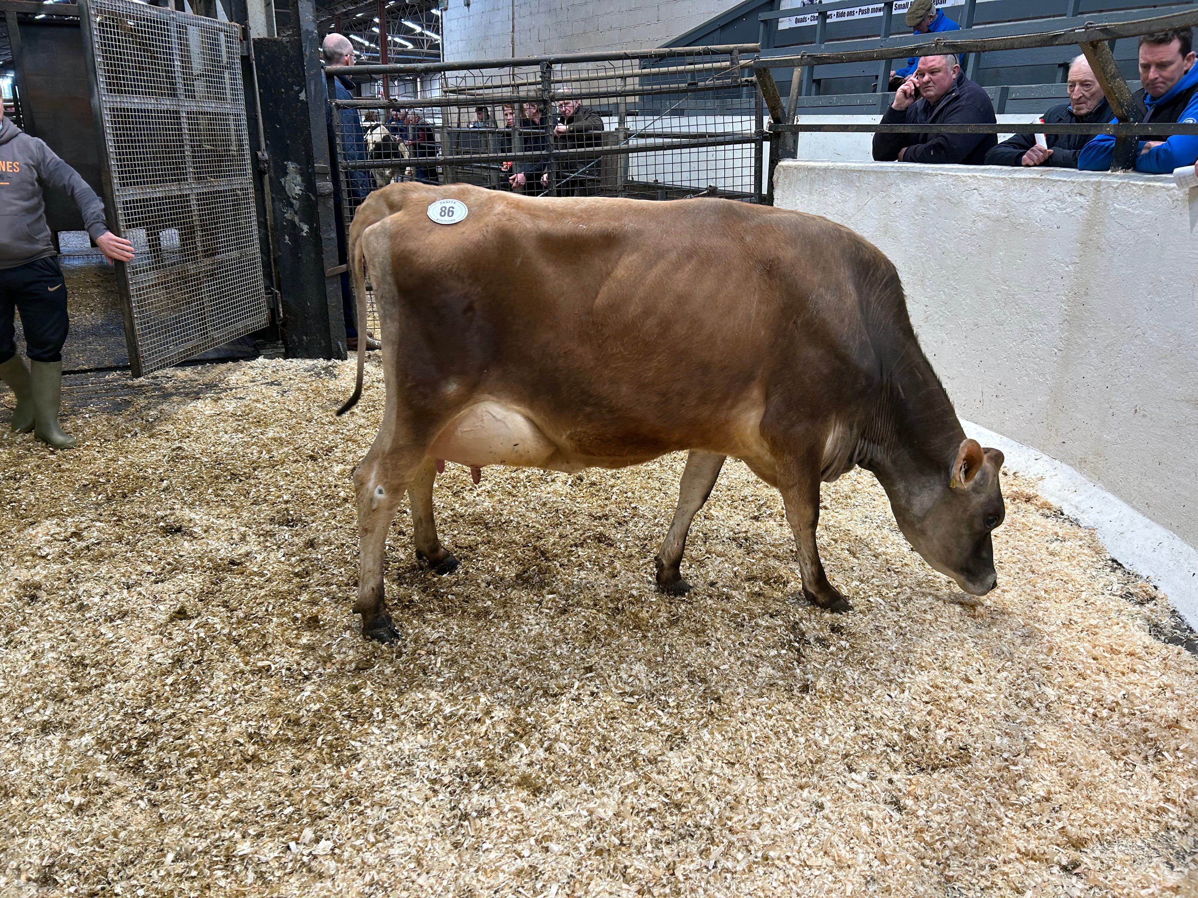Lot 86: Slevoy Matt Elliot, sold for 1,000gns