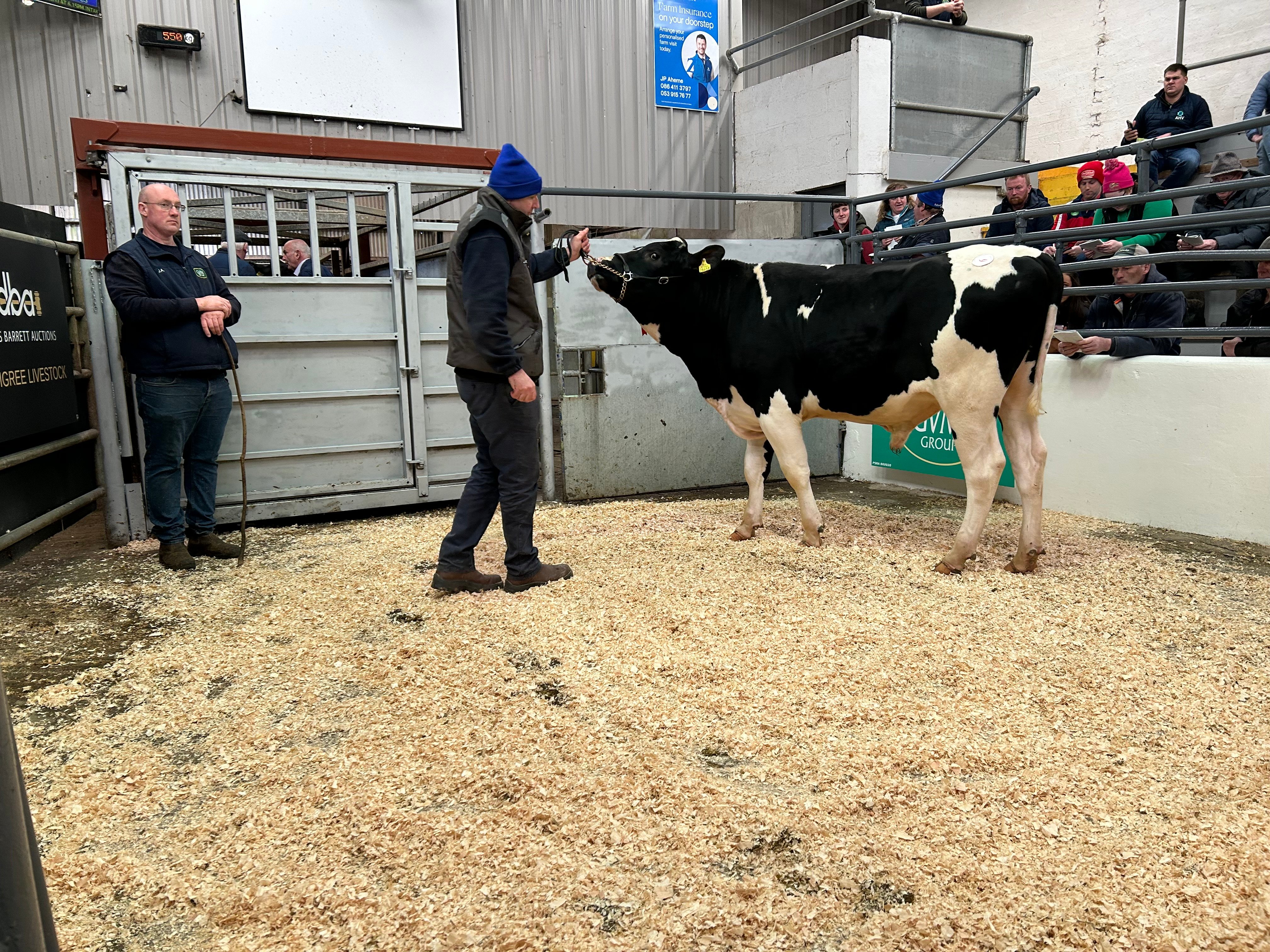 Lot 6: Monamore Runway - sold for €4,200.