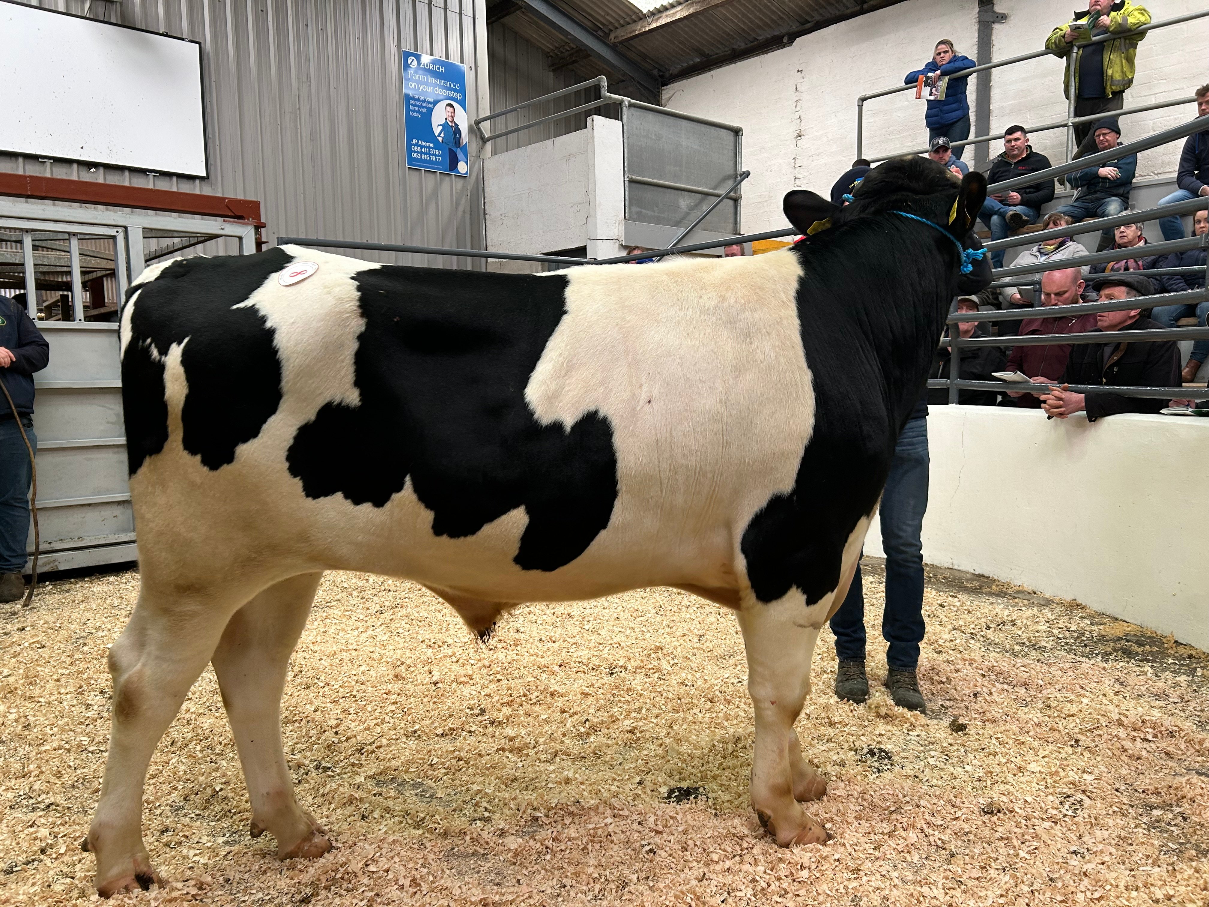 Lot 8: Radney Pele ET - sold for €3,000