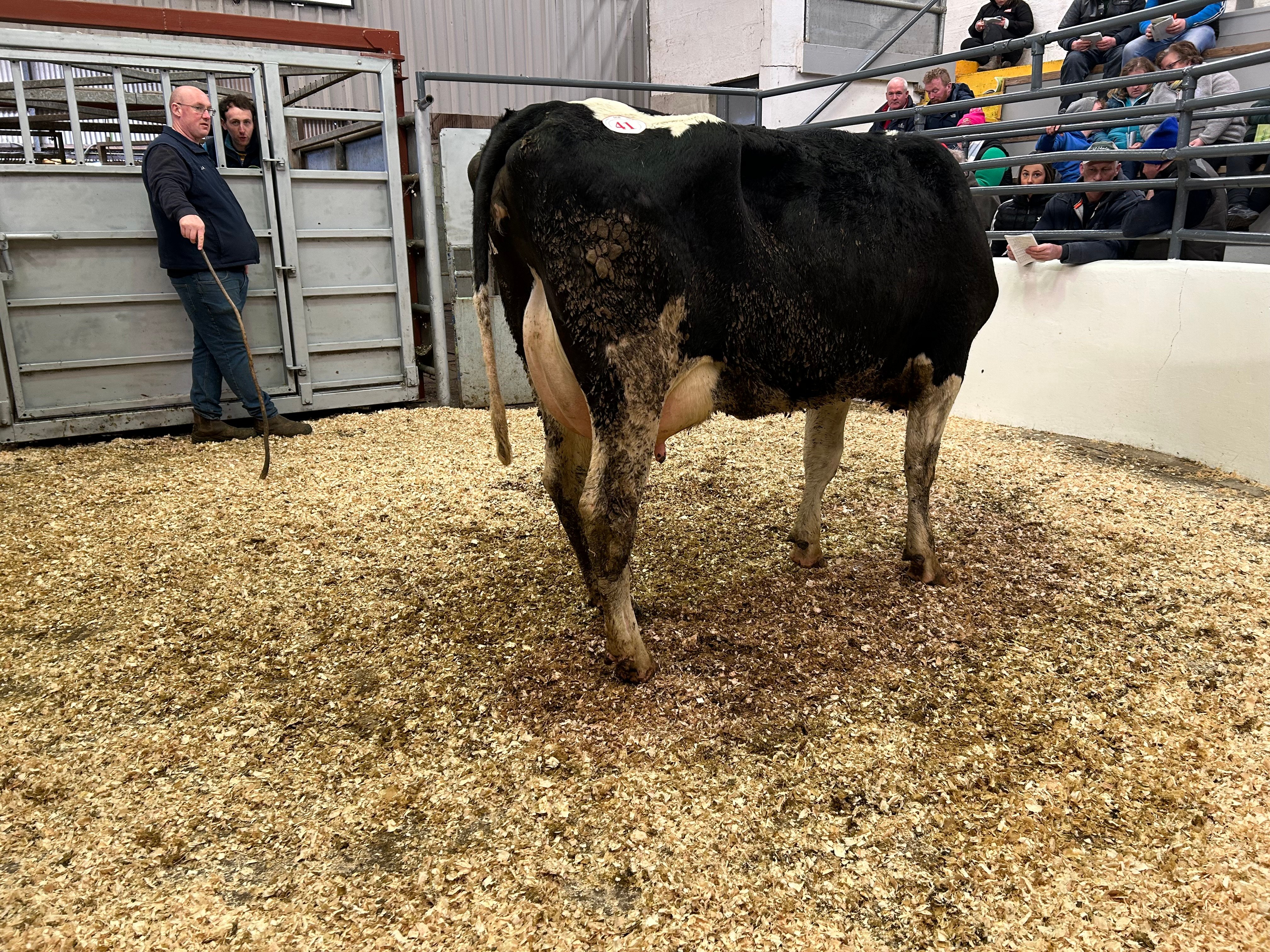 Lot 41: Adrivale Components Dana 2491 - sold for €2,200