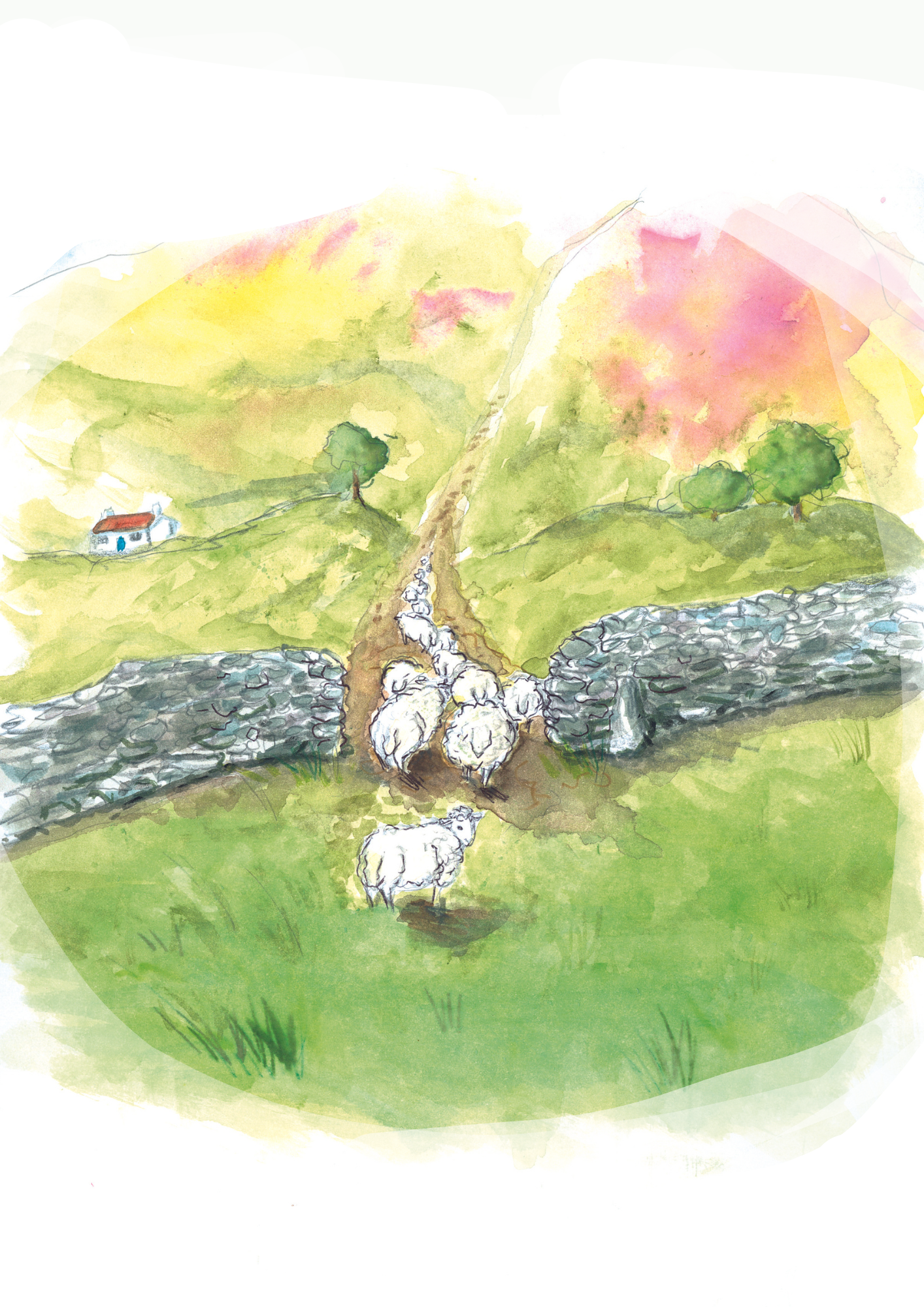 Illustrations from "The Little Lamb Who Led" Source: Katie O' Donoghue