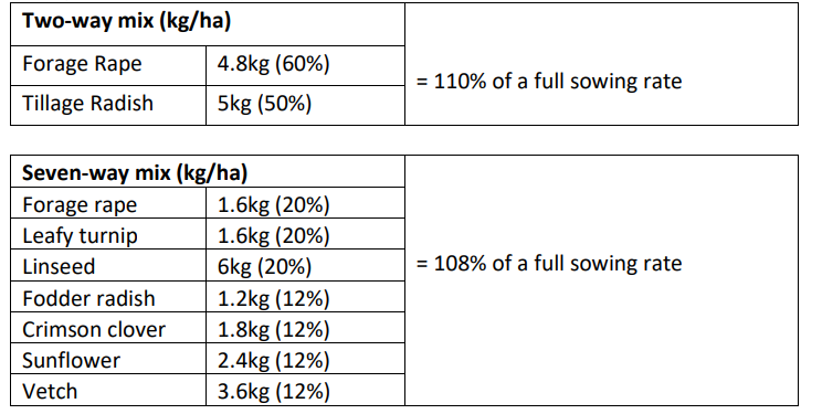 Some examples of catch crop mixes provided by the department