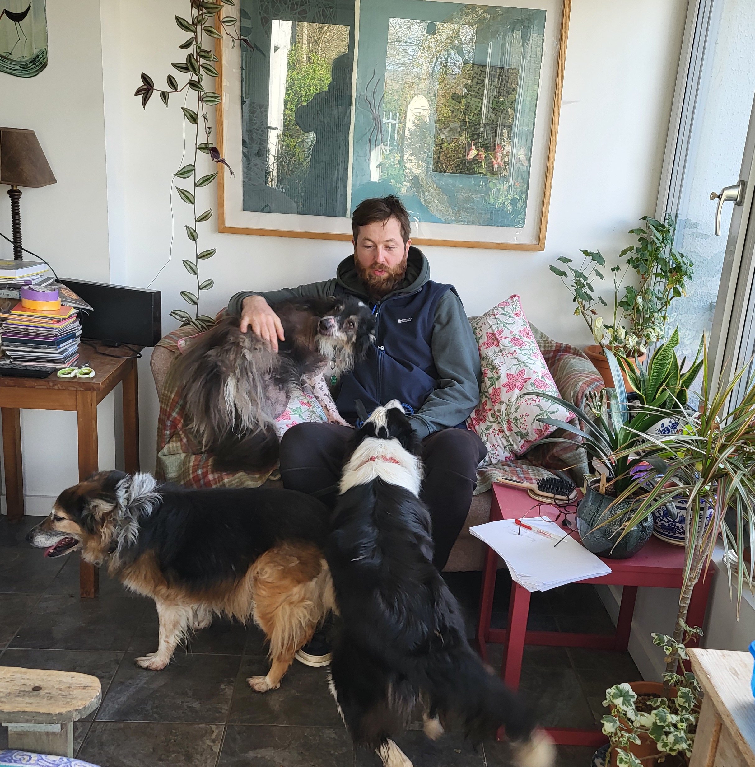 One of Mossie's regular dog walkers, Pawel, with his two friends Misiek and Papi. Image source: Susan Proud