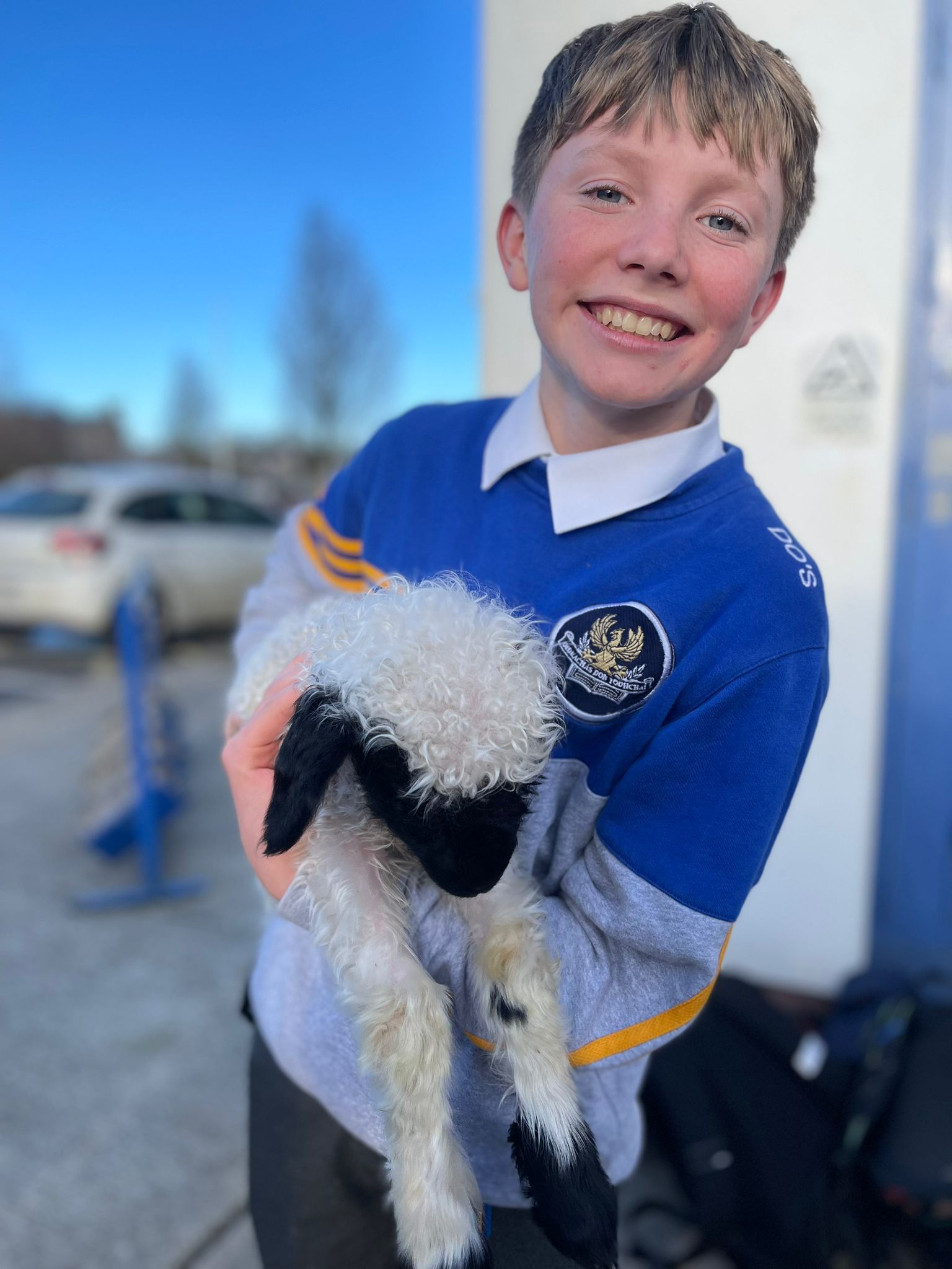 Darragh O'Shea with school lamb, Molly