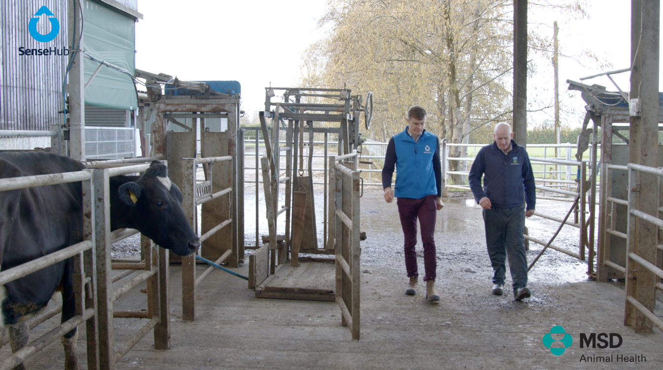Ruminant business unit director at MSD, Jack O'Connor, with Prof. Finbar Mulligan from UCD