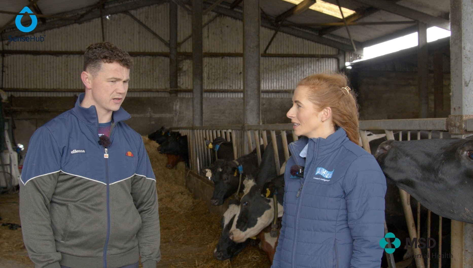 Technical and customer success manager with MSD Animal Health Catherine Heffernan, with Brendan Ryan, a dairy farmer from Co. Limerick