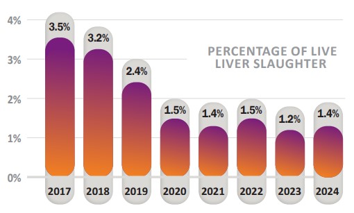 Comparison of weeks one to eight of the percentage of live liver fluke recorded at slaughter for all years Source: Beef Healthcheck programme