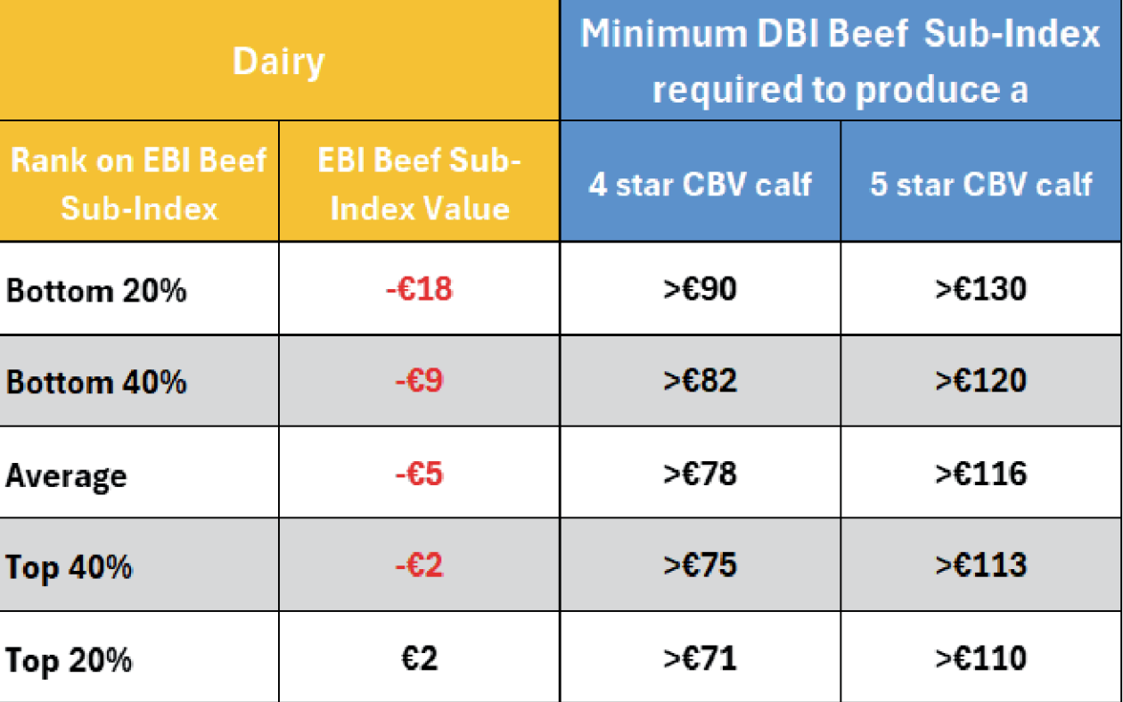 The minimum DBI beef sub-index required for Angus and Hereford beef bulls to achieve a 4* or 5* CBV dairy-beef calf categorised by dairy animal ranking on EBI beef sub-index. Source: ICBF
