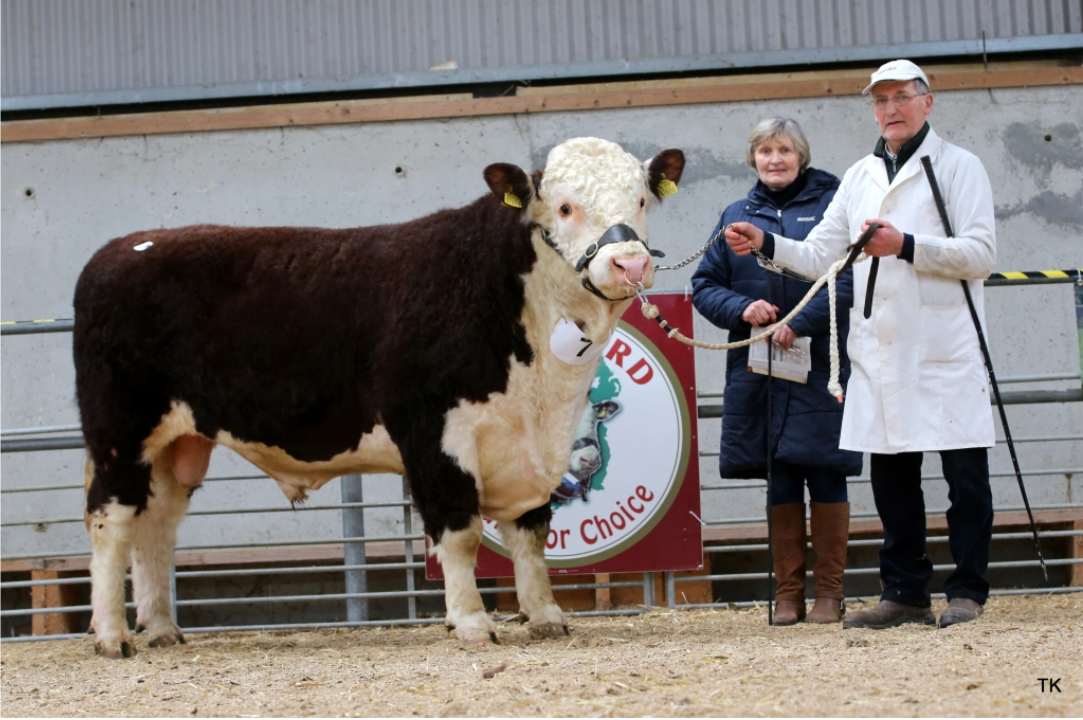 Corranpoll 1 Jameson sold for €4,550. (L-r): Breeders Gladys and Ivor Anderson, Co. Cavan