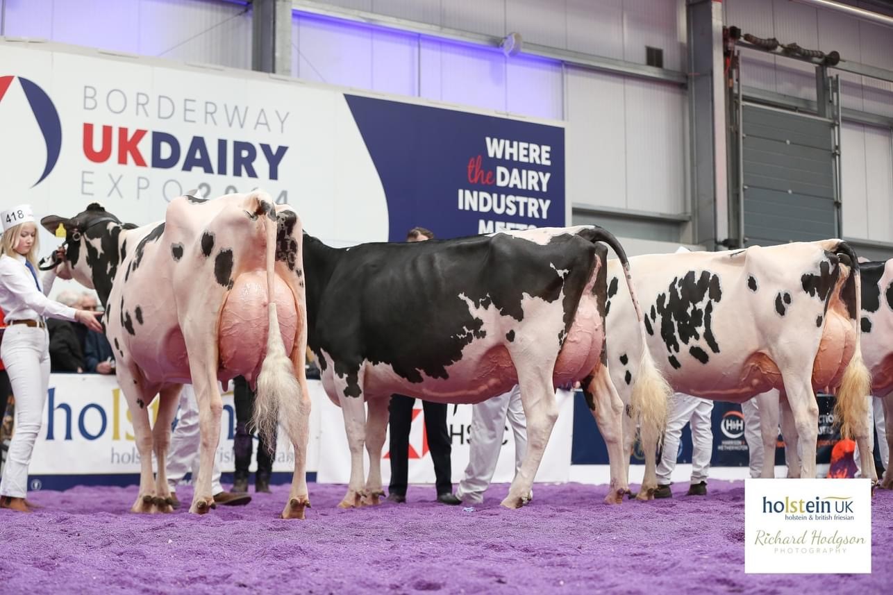 Class 65 - Senior 2 Year Old - March 1, 2021 to July 30, 2021 winning line-up