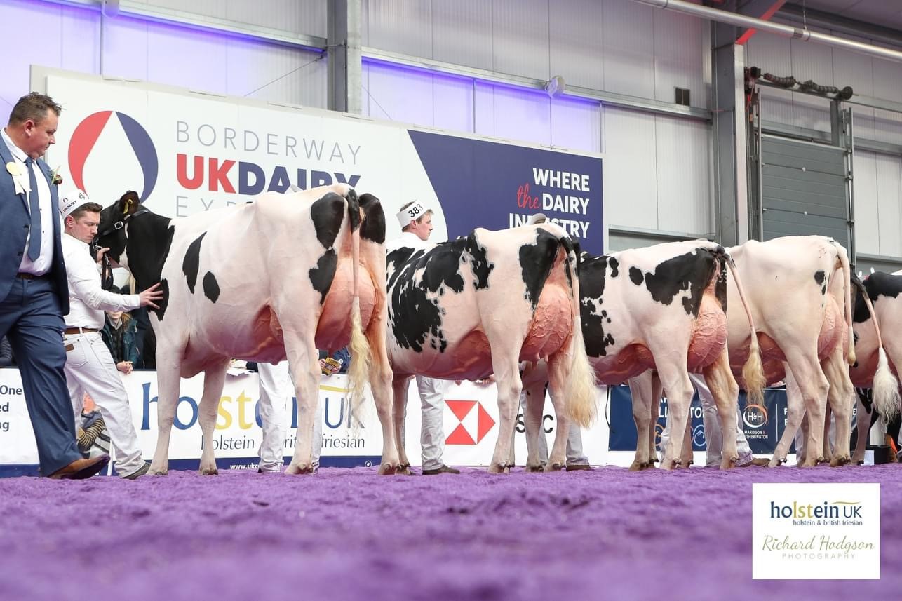 Class 64 - Junior 2 Year Old in Milk - August 1, 2021 to November 30, 2021
