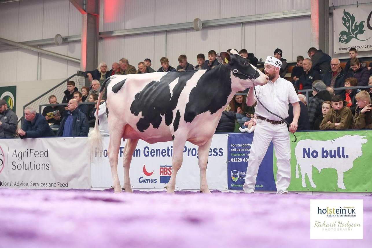 Champion: Wormanby Lambda Allie