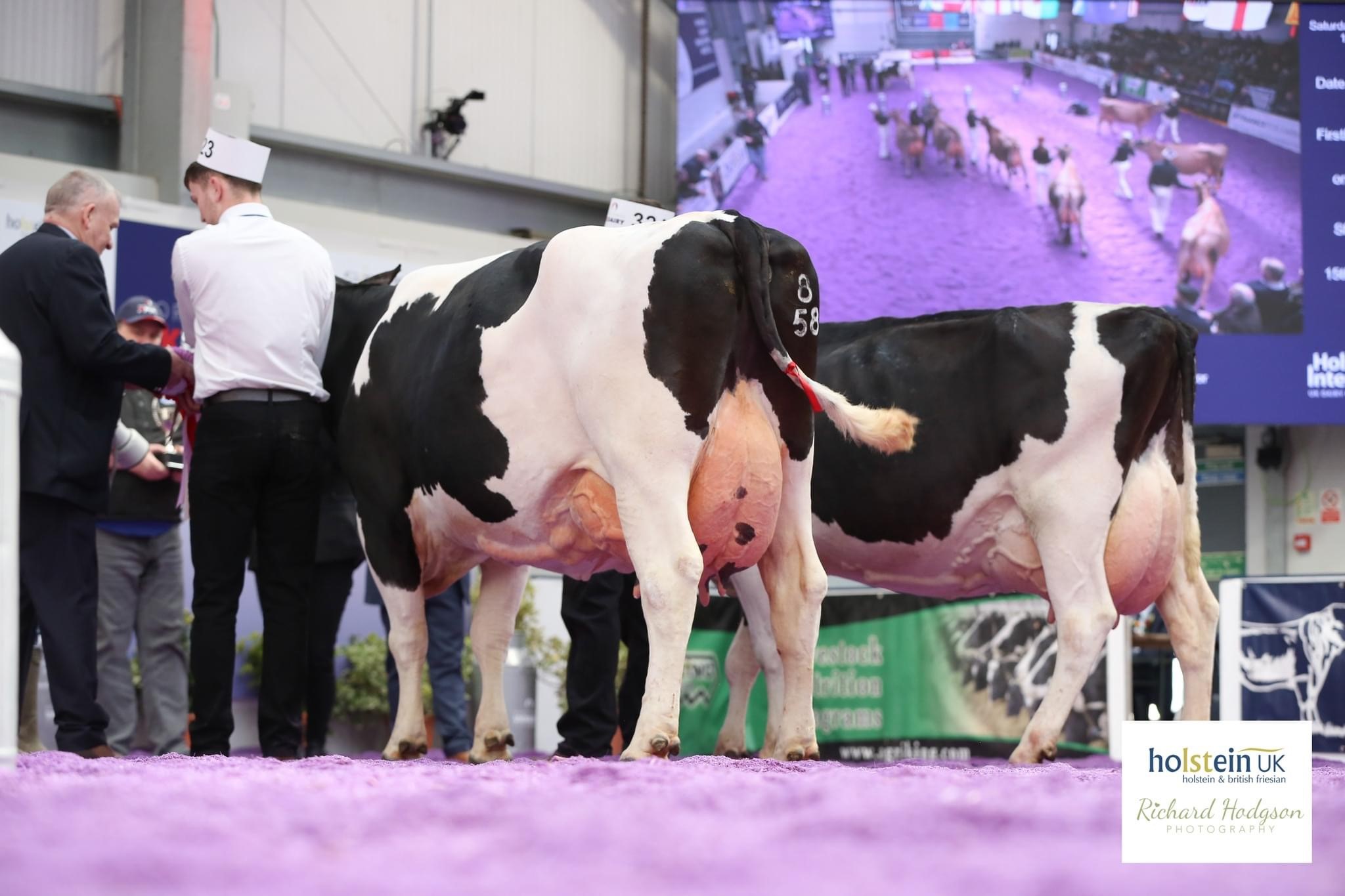 Class 48 - Iron Grandma class Source: Holstein UK